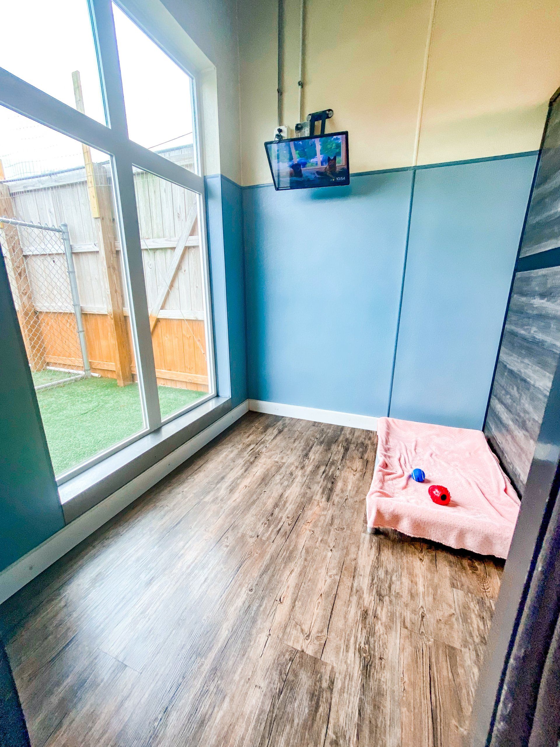 Luxury Suite for dogs