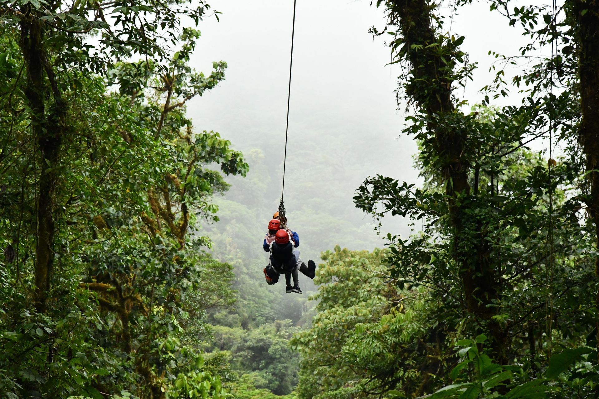Two people ziplining through a lush green forest over a misty valley