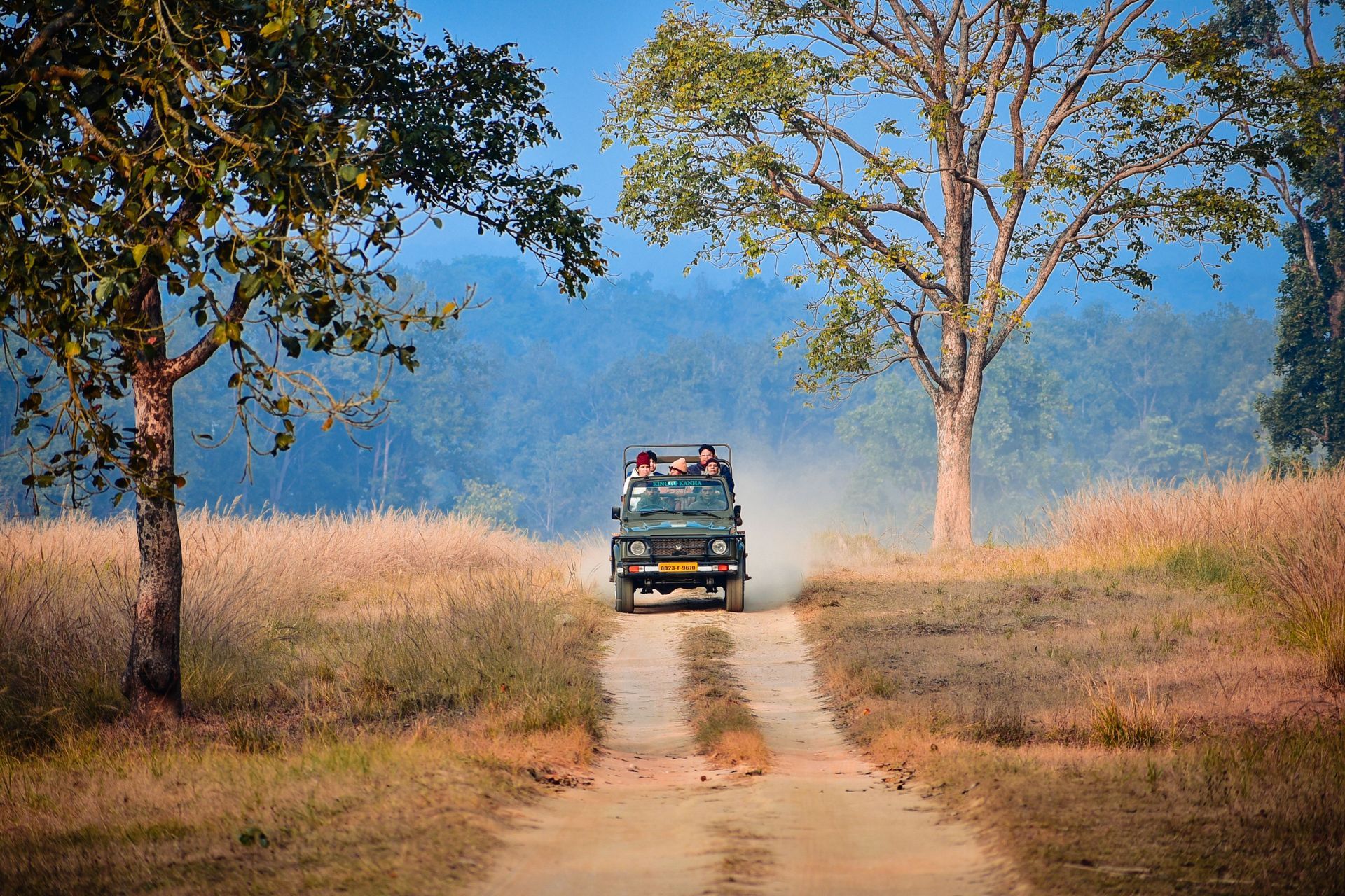 Jeep on a dirt road between trees in a dry, grassy landscape