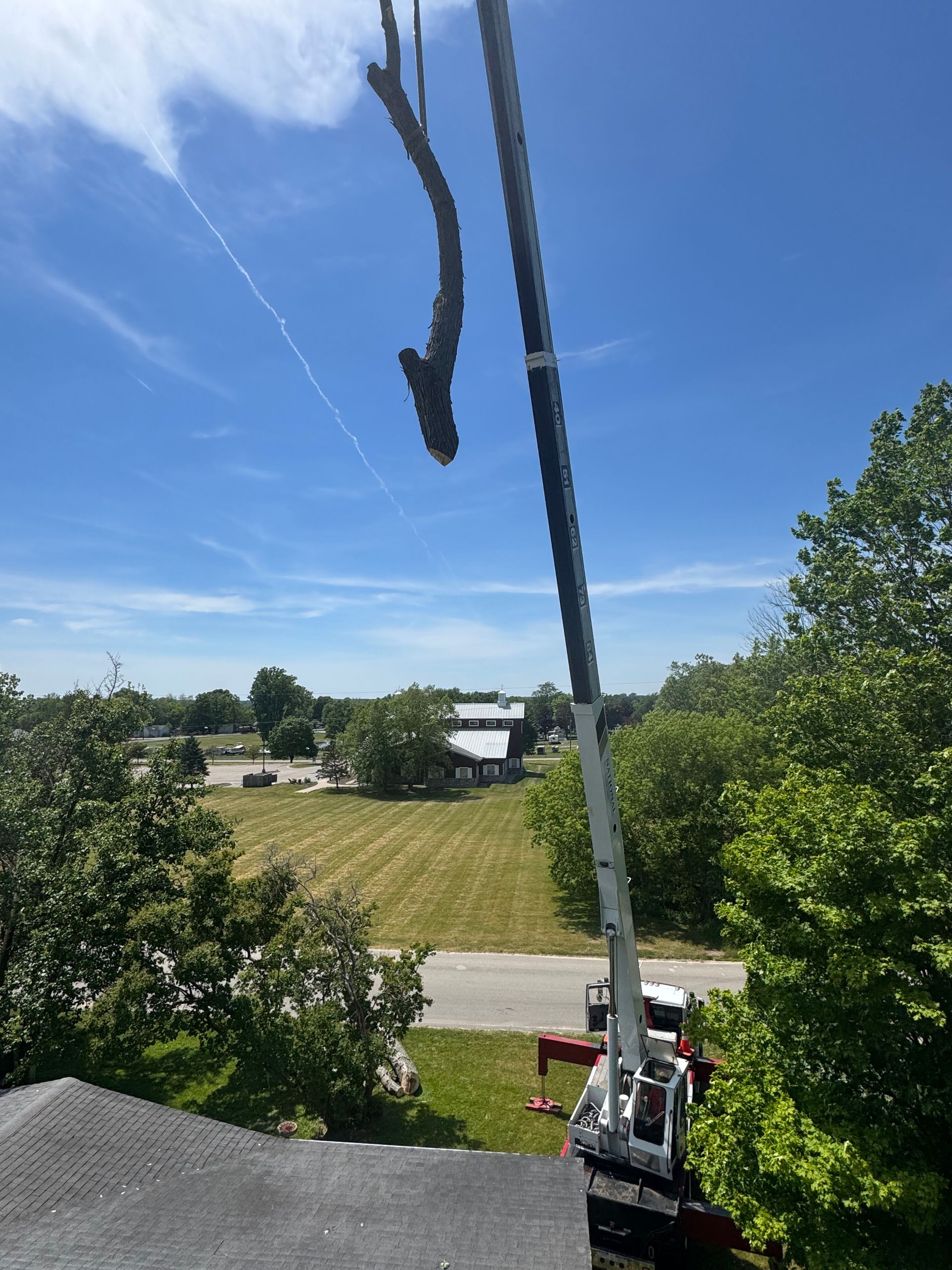 Tree-trimming crane lifting a cut branch over a suburban yard and road on a sunny day