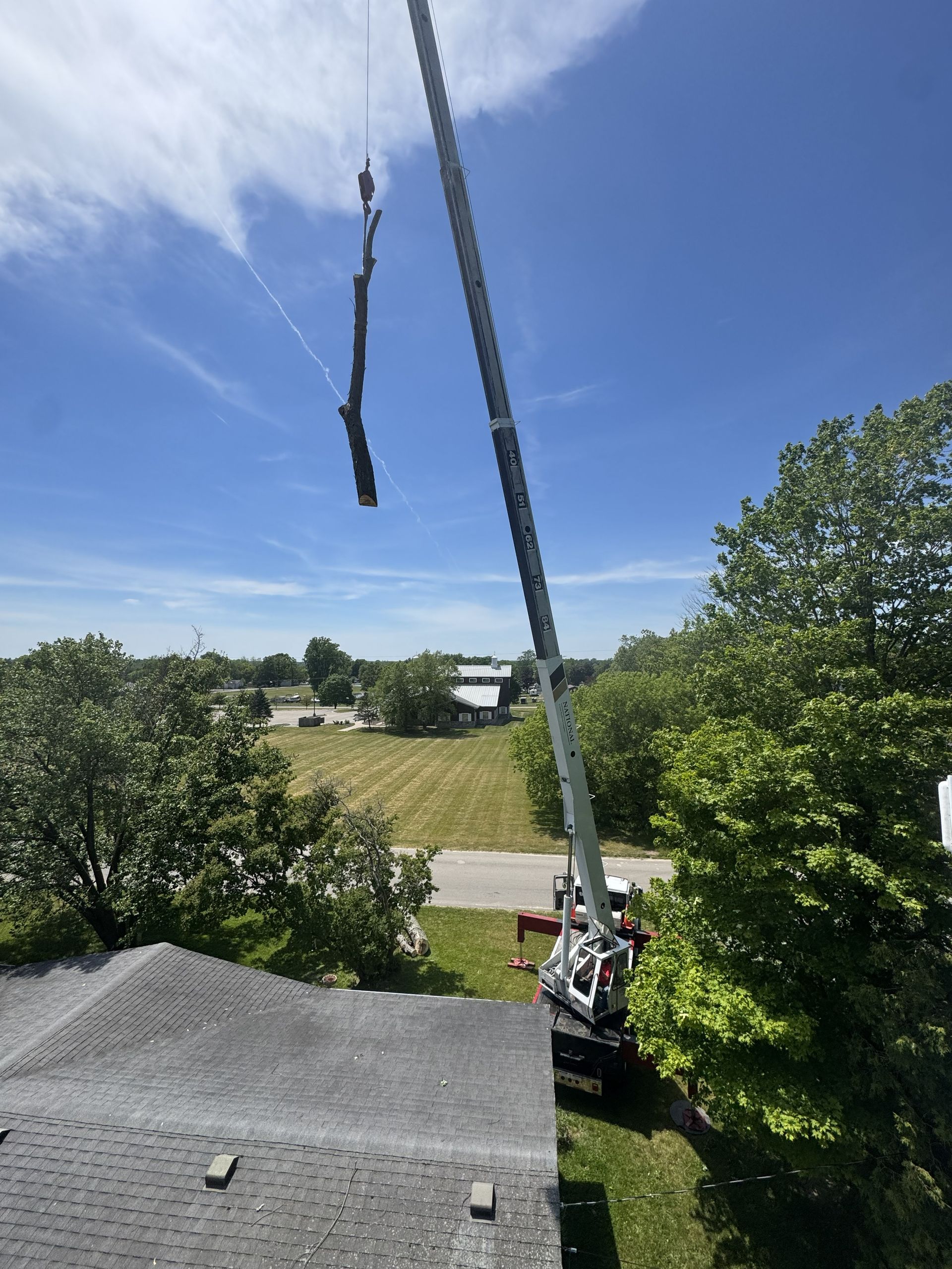 A crane lifts a long black strap above a suburban yard under a blue sky.