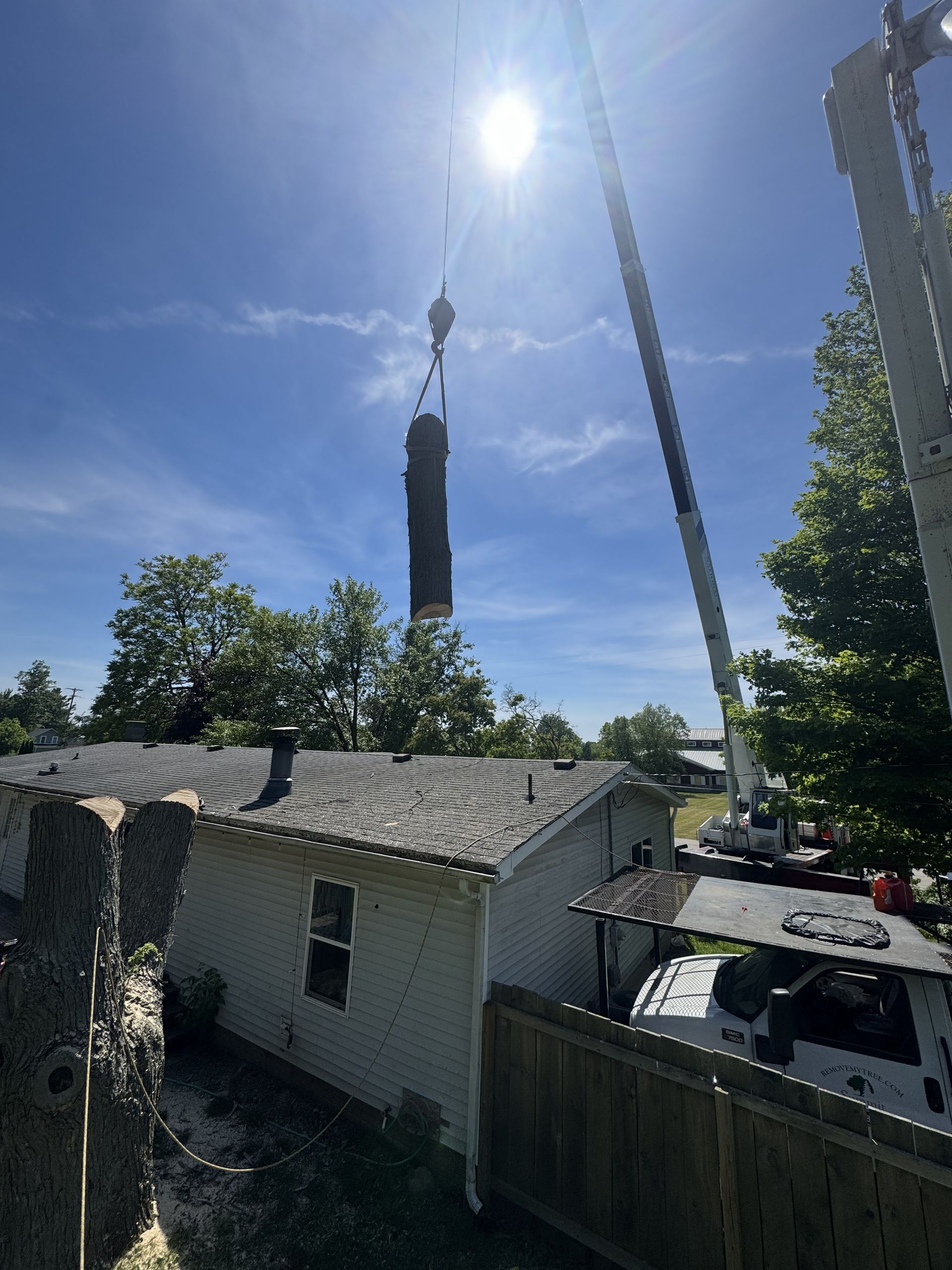 Bright sunny backyard with a tall black pole, small white shed, wooden fence, and parked car.
