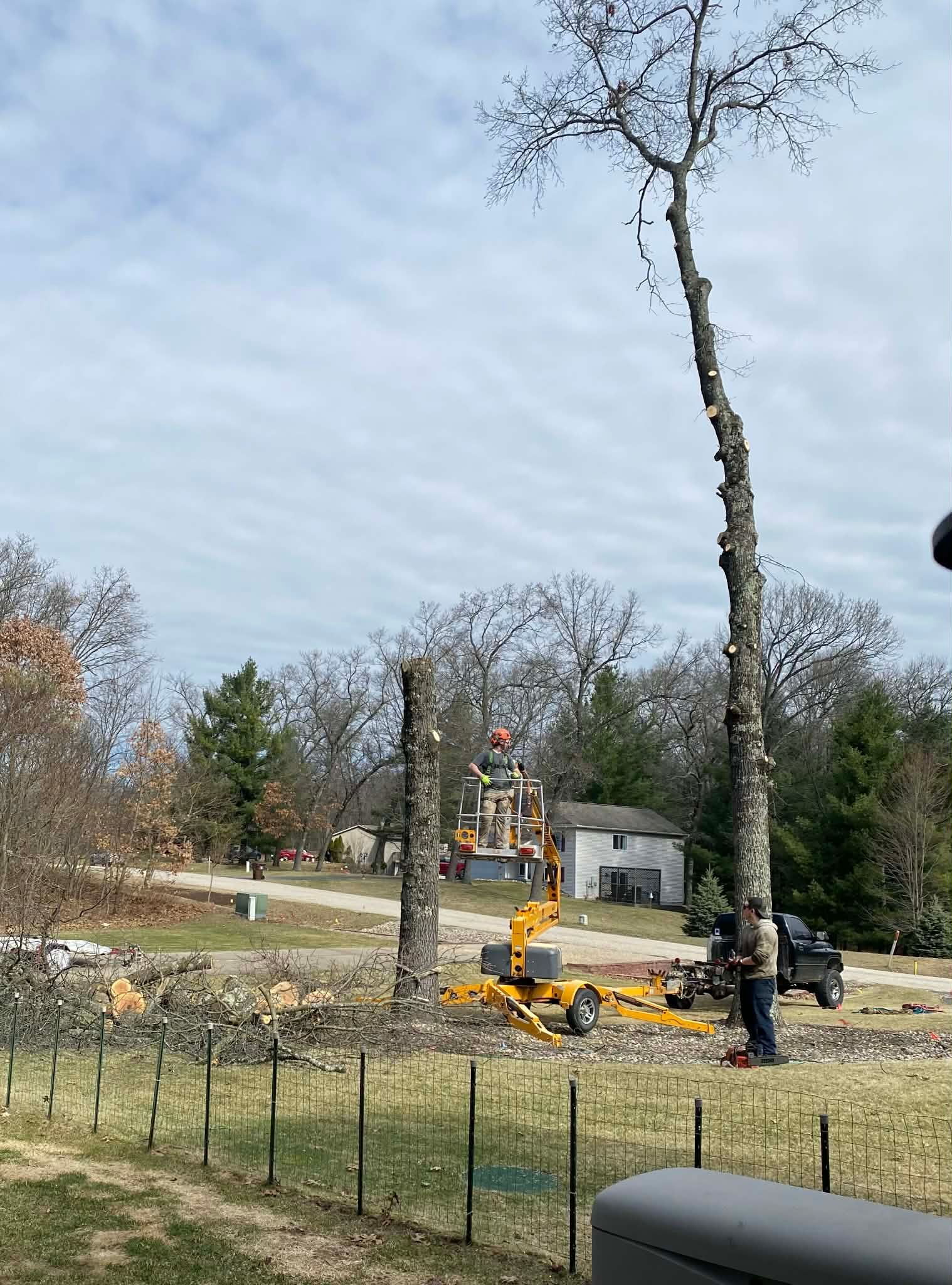 Yellow crane trimming a tall tree in a fenced yard beside a small house on an overcast day