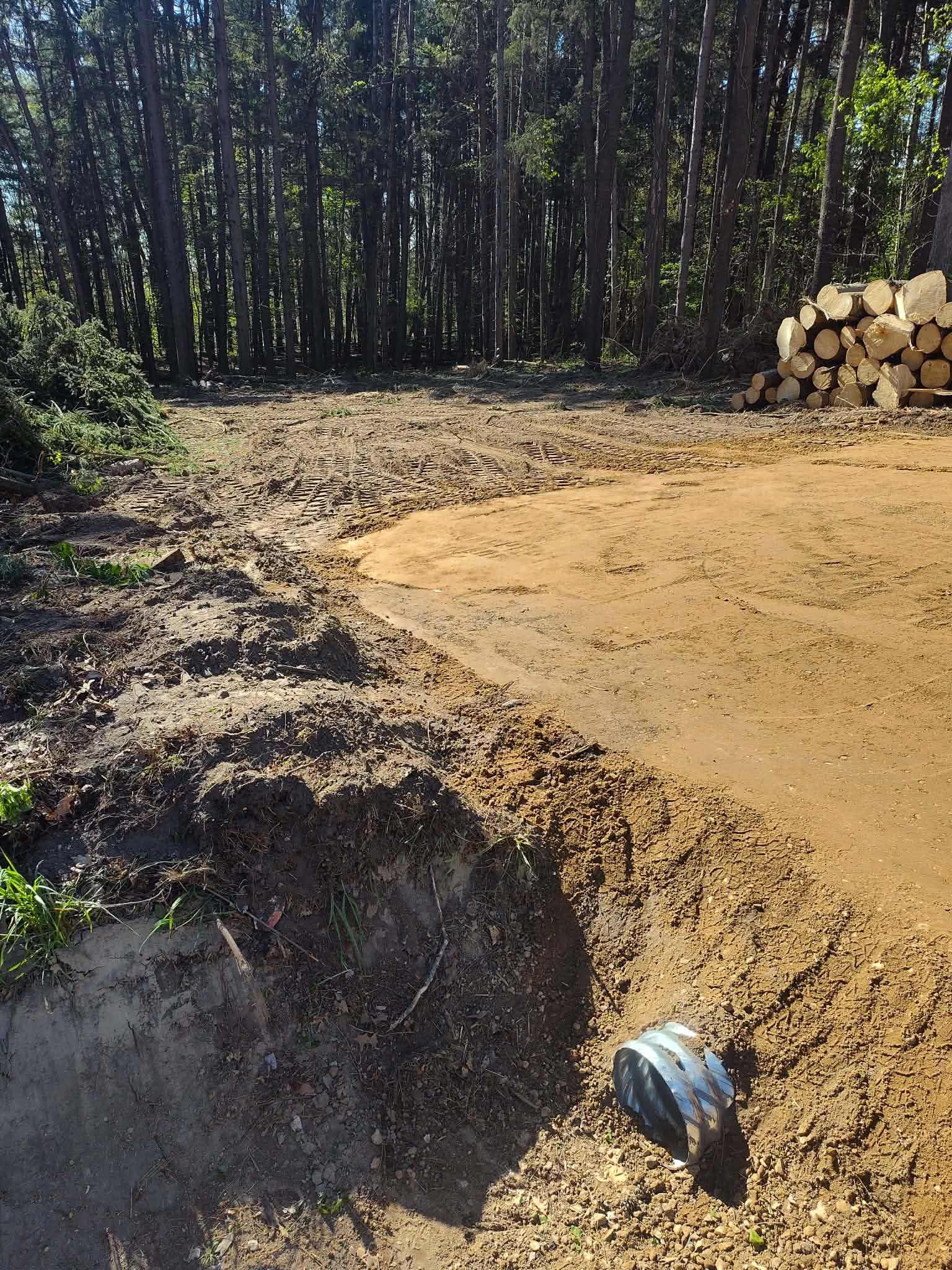 Dirt clearing with a trench in the foreground, wooded background, and stacked logs on the right.