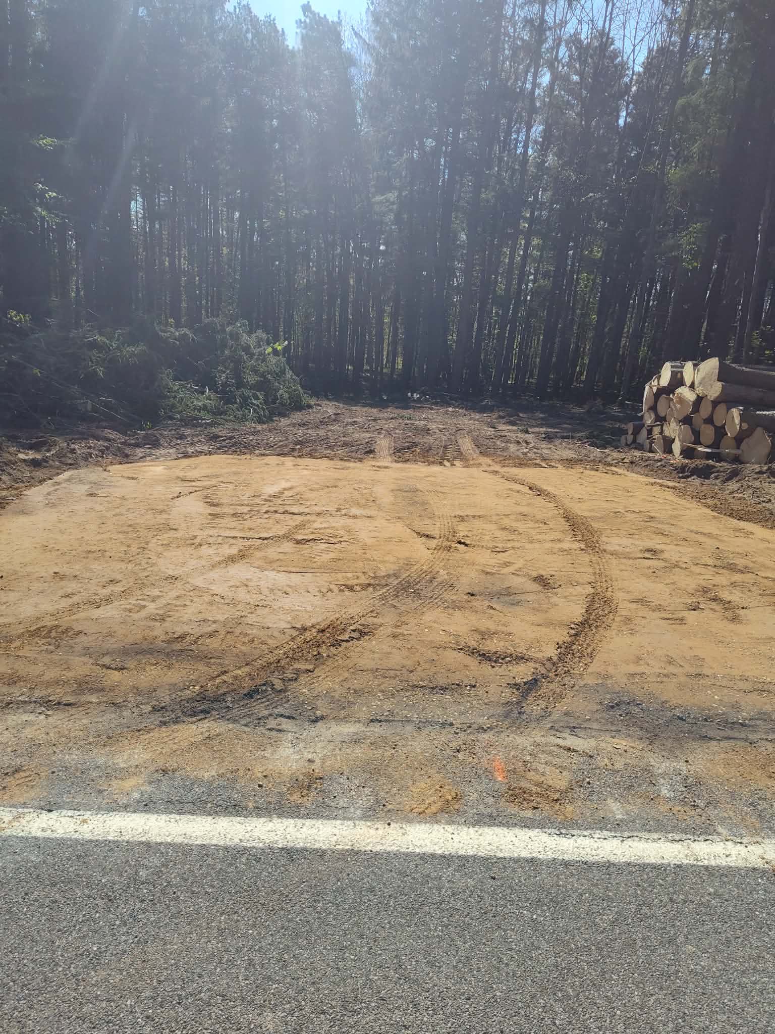 Cleared dirt lot beside a forest road with stacked logs and bright sunlight through trees