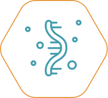RNA Targeting