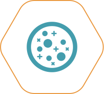 Oncology and CNS