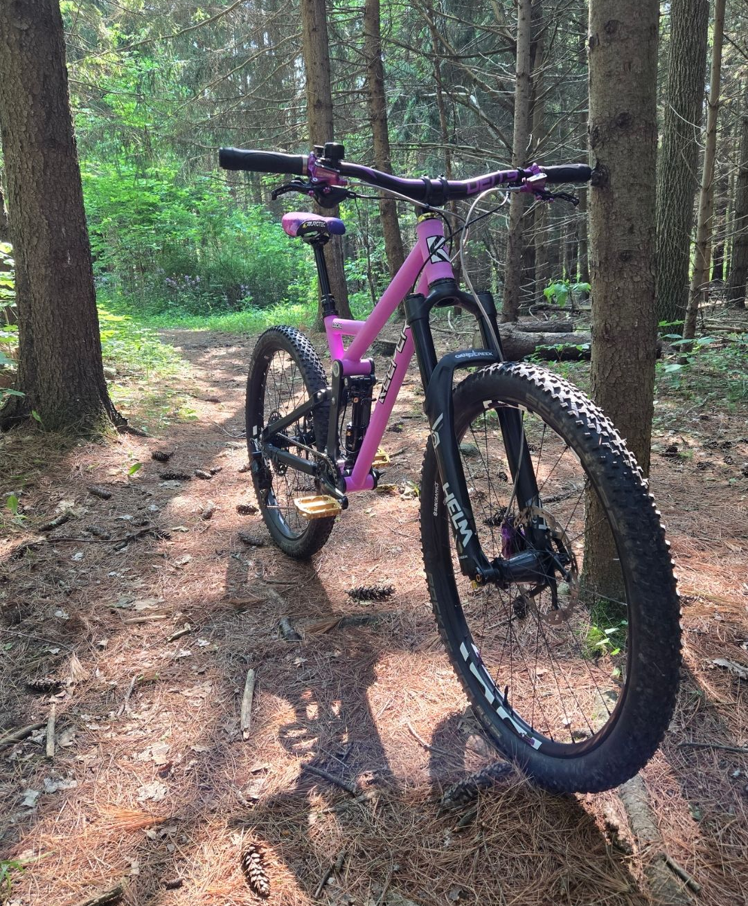 Pink mountain bike in a forest setting.