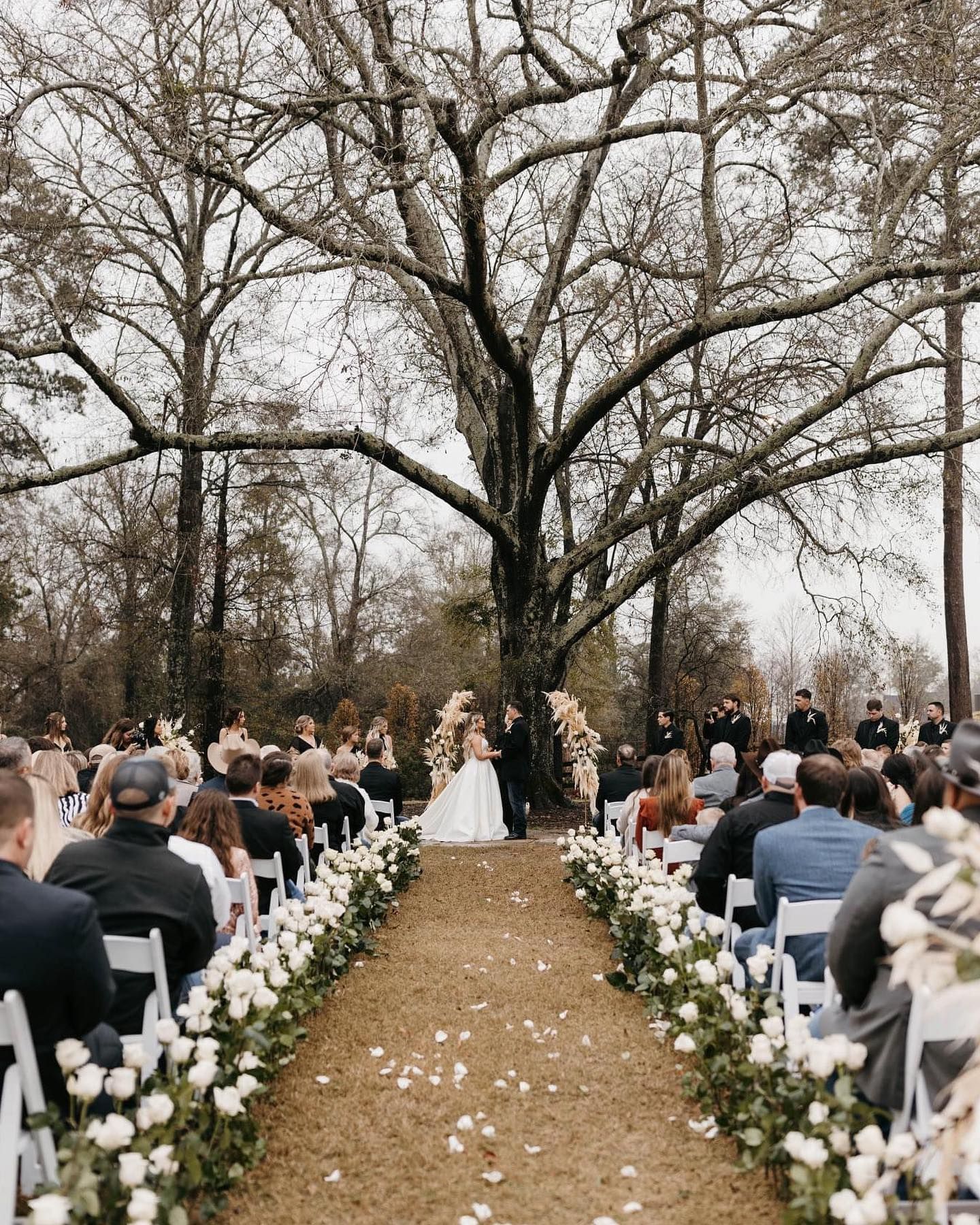 Wedding ceremony outdoors; couple under large tree; guests seated; floral aisle.