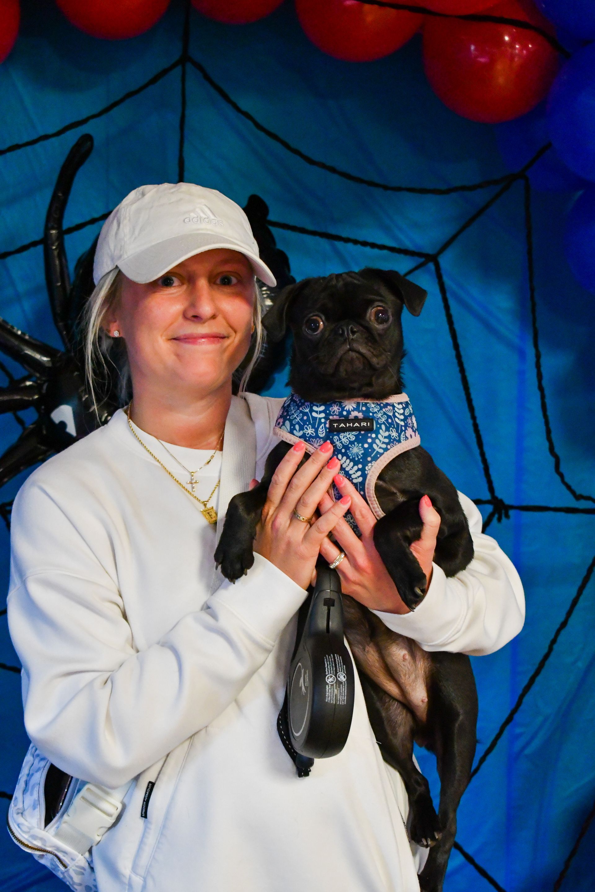 Woman in white sweatshirt and cap holds a black pug wearing a blue harness. Halloween background.