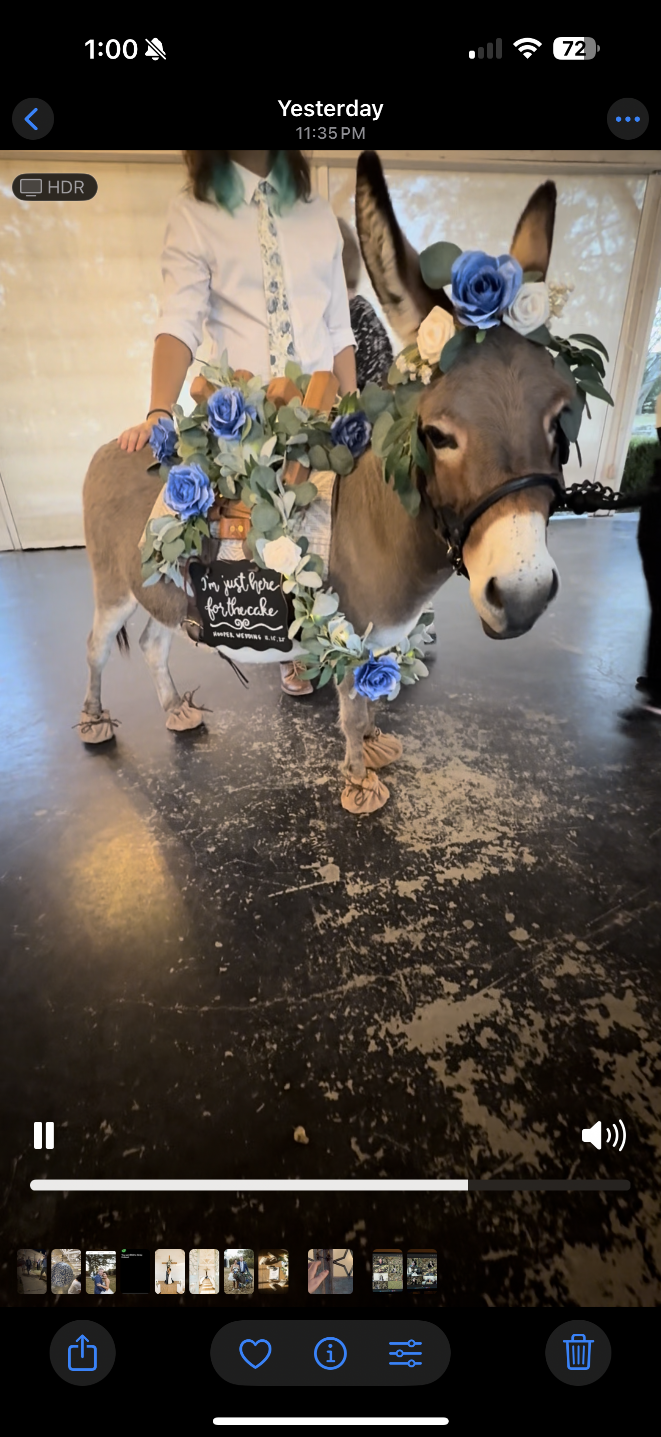 A donkey with blue flowers, a decorated saddle, and a sign standing indoors.