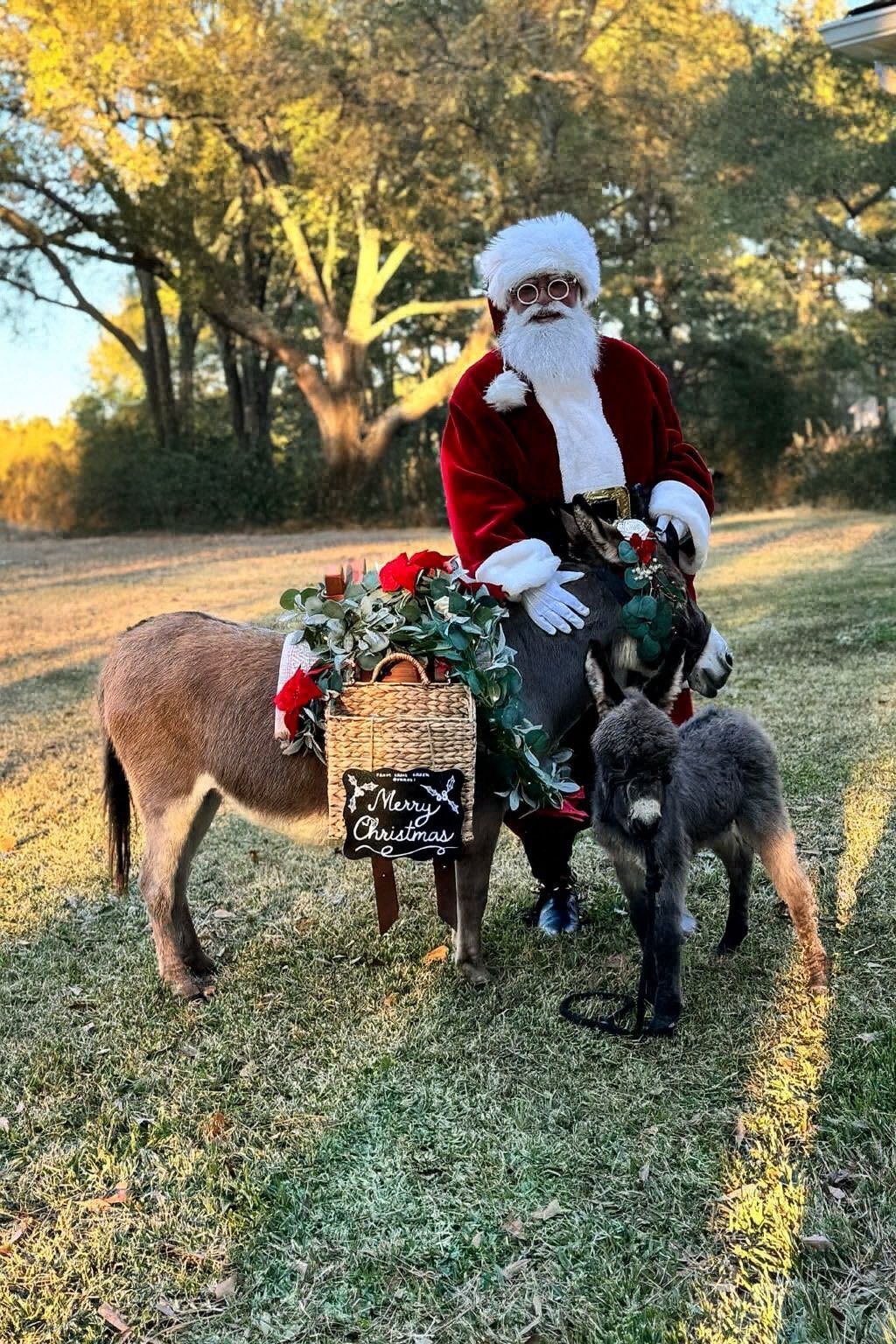 Santa Claus sits on a donkey, which is adorned with Christmas decorations, in a grassy outdoor setting with a small dog.