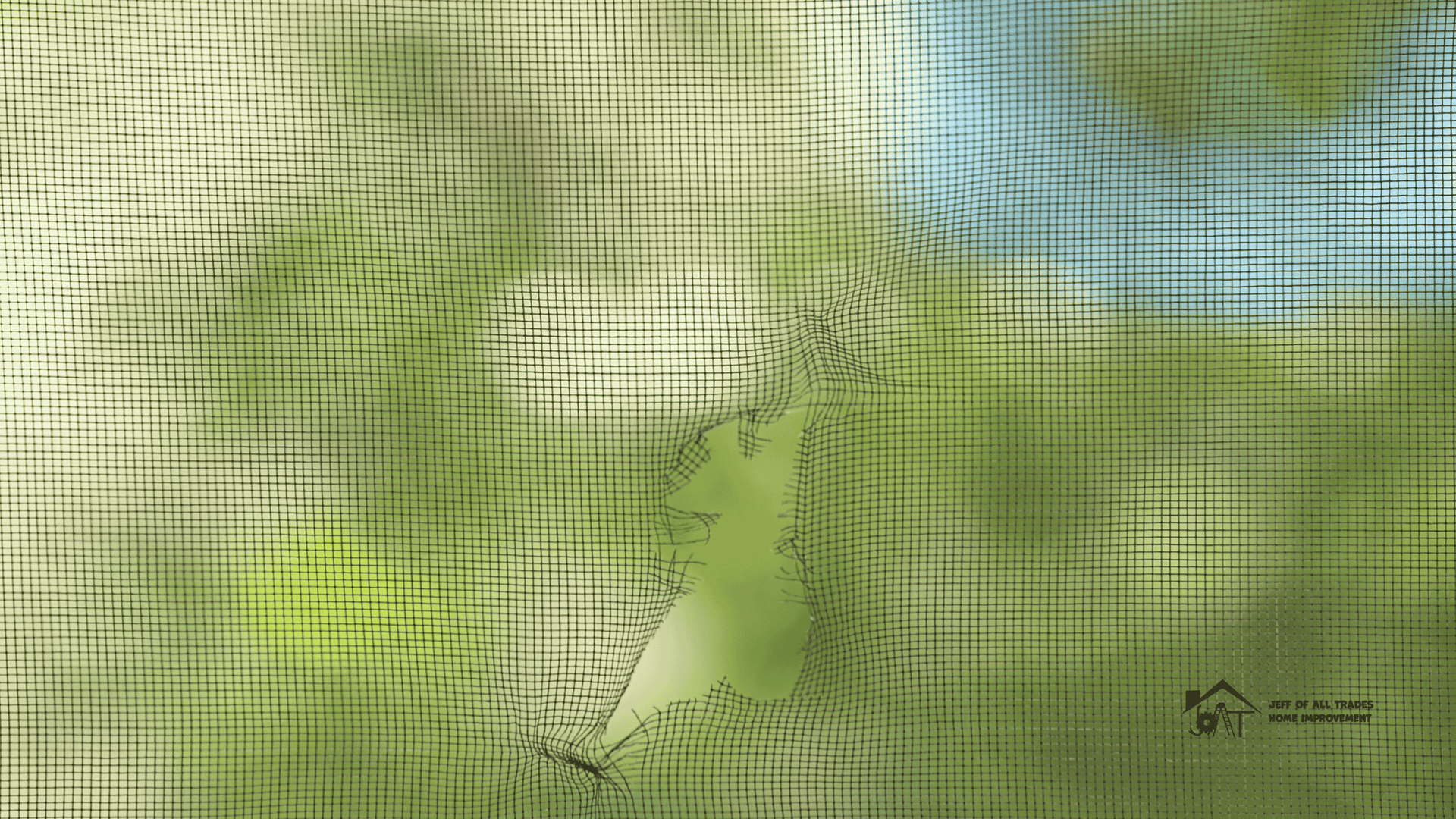 DIY screen fixes vs pro repair for torn windows