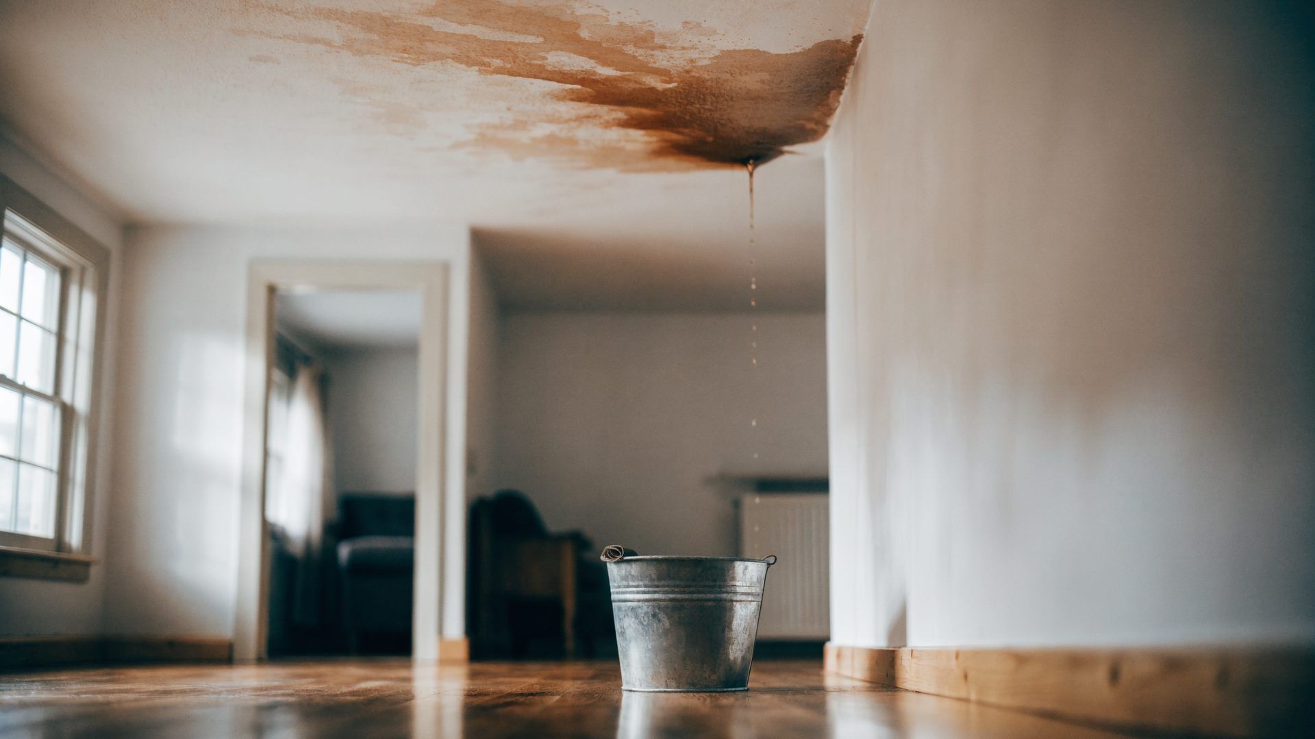 Brown water stain spreading across the ceiling of a Basking Ridge NJ home with a bucket catching dri