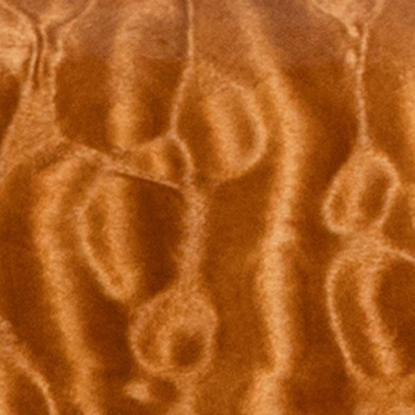 Pure Fidelity Wood Swatch