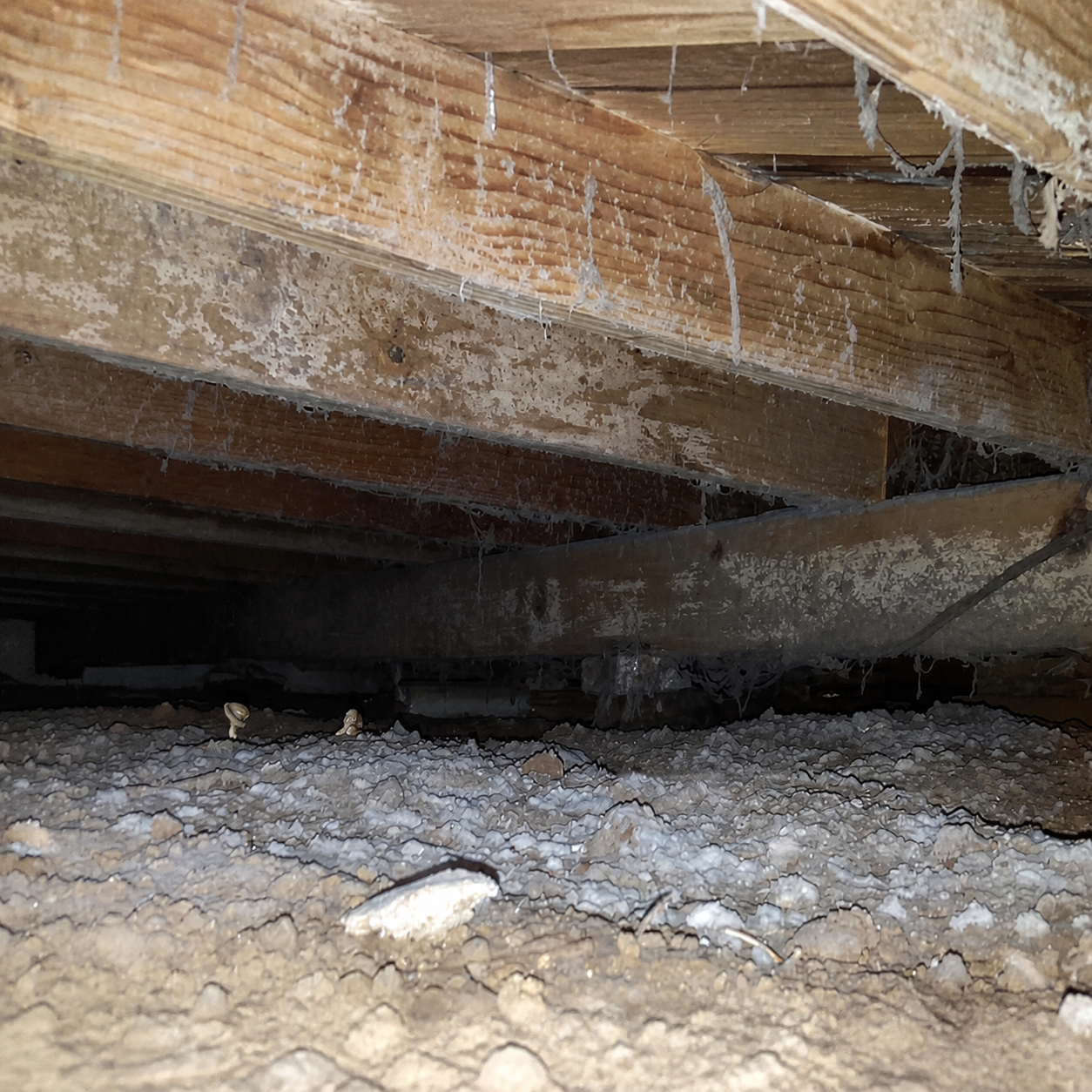 Crawlspace beneath wooden floor joists with insulation and frost buildup on the ground