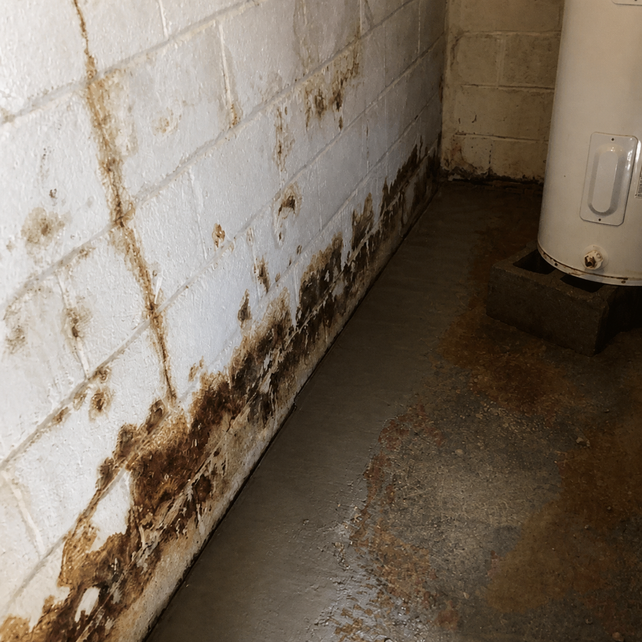 Mold and water damage along a basement cinderblock wall beside a water heater.