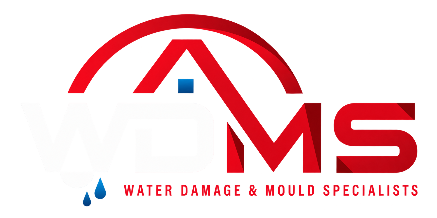 Water Damage & Mould Specialistsm