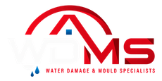 Water Damage & Mould Specialistsm