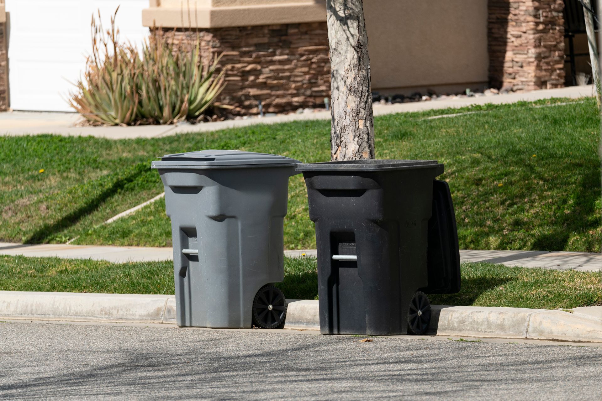 Two trash cans, grey and black, sit on a curb next to a tree, with grass and a house in the background.