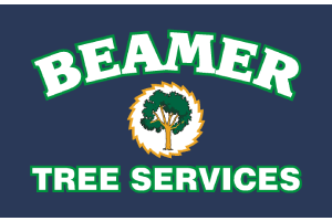 Beamer Tree Services Offers Tree Removal in Grafton Beamer Tree Services Offers Tree Removal in Grafton