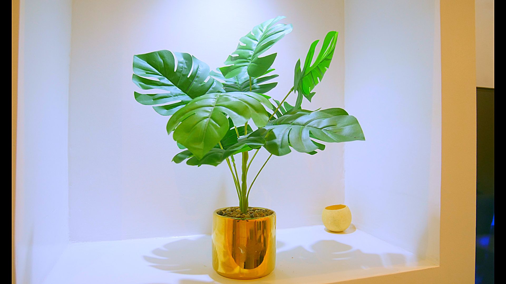 Une petite plante dans un pot doré est posée sur une étagère.