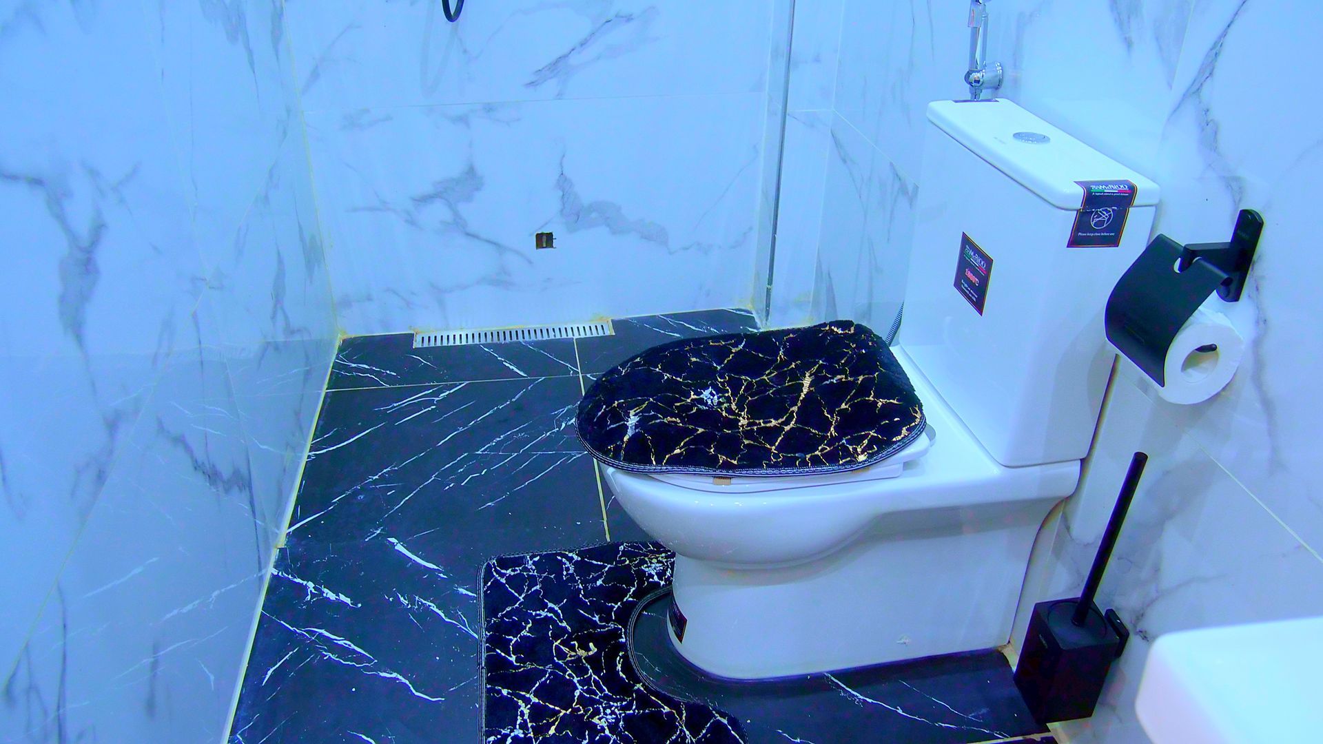 Une salle de bain avec toilettes, douche et tapis.