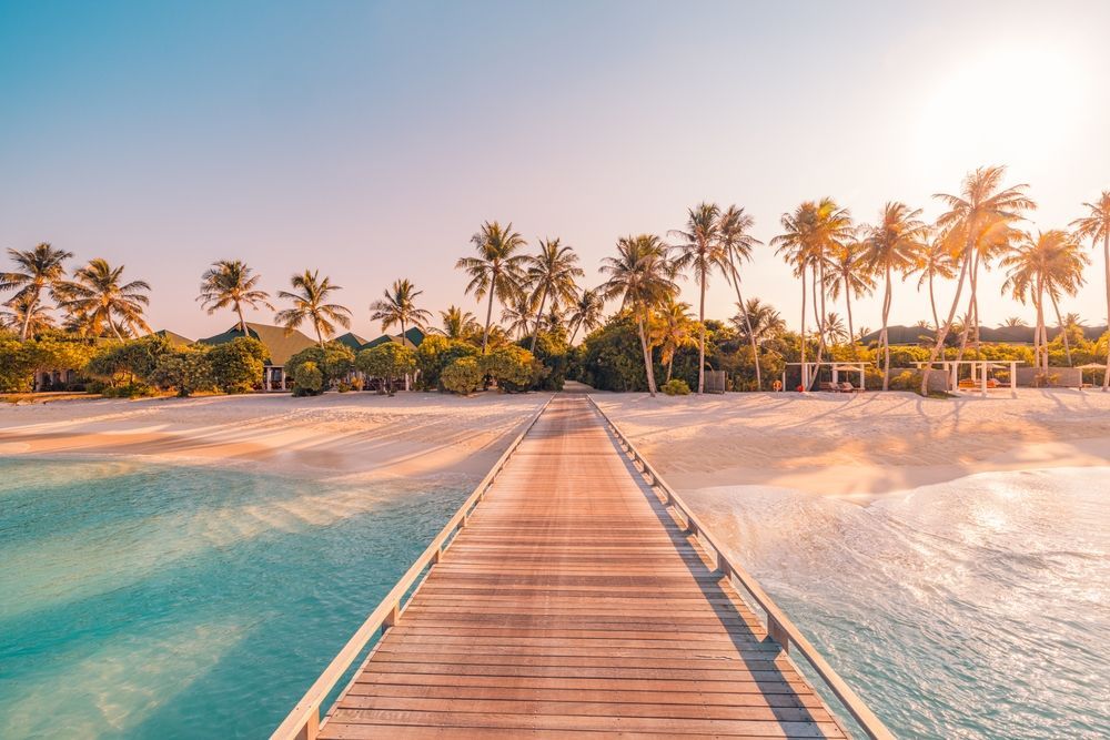 Wooden pier leading to a tropical beach with turquoise water, palm trees, and warm sunset light