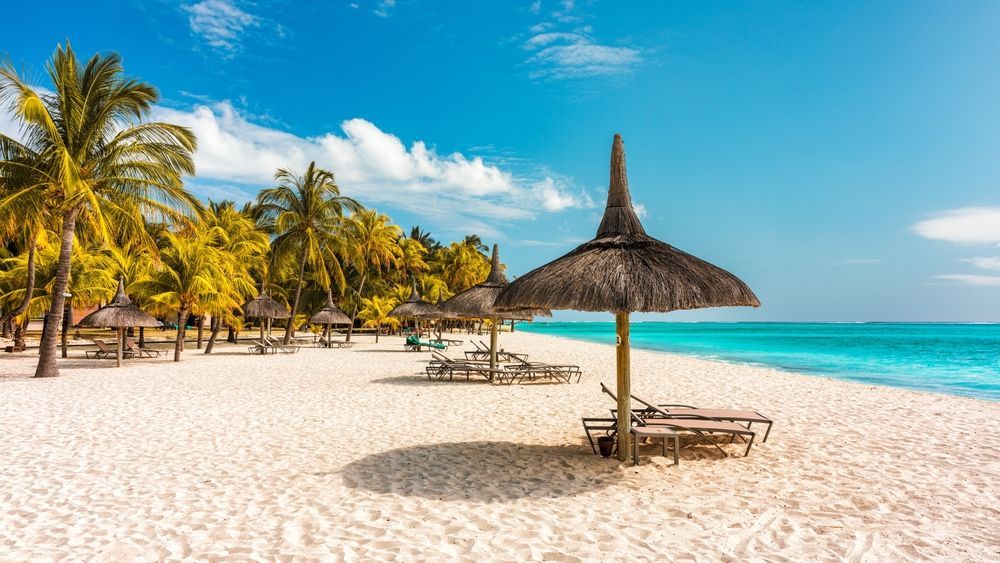 Tropical beach with palm trees, white sand, turquoise water, and a thatched sun umbrella with lounge chairs