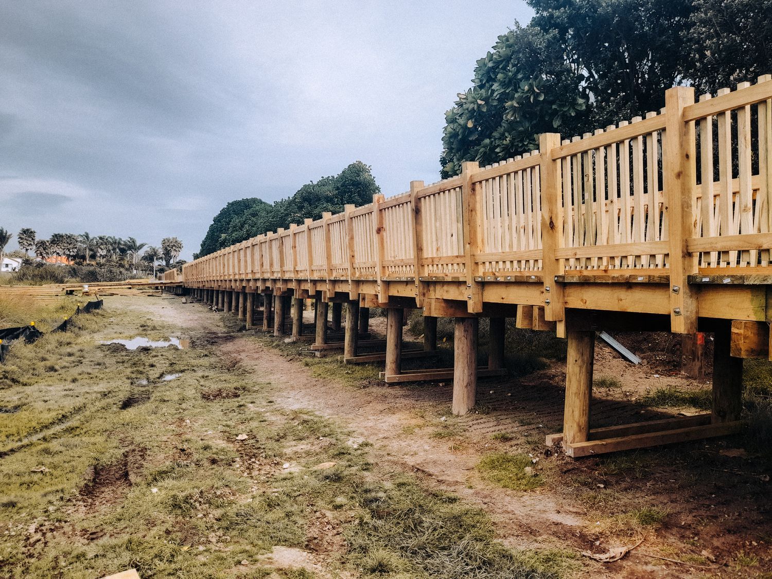 Mitchpine beams used for walkway