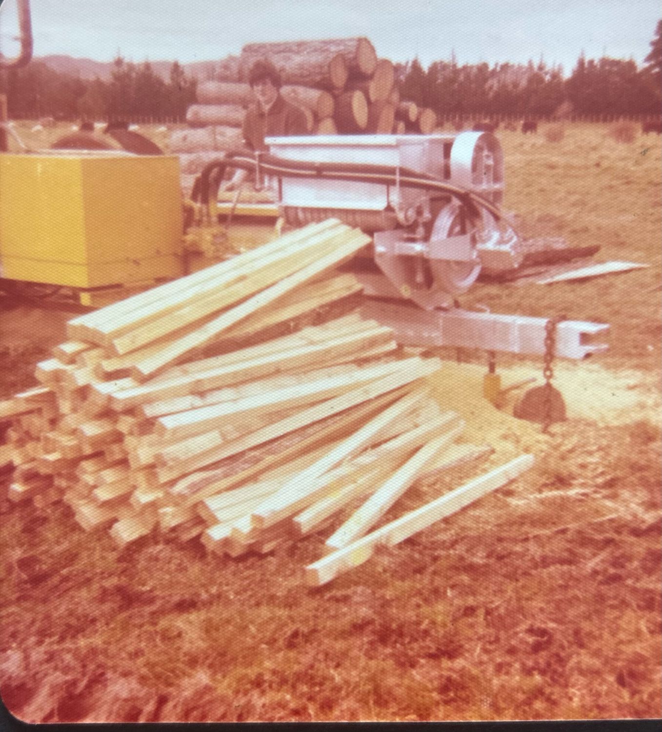 The first Batten Mill Mitchpine owned