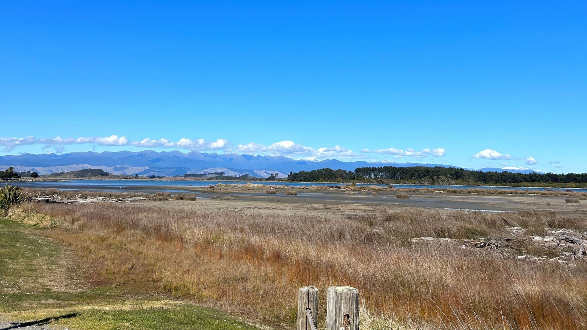 Mitchpine located in Horowhenua