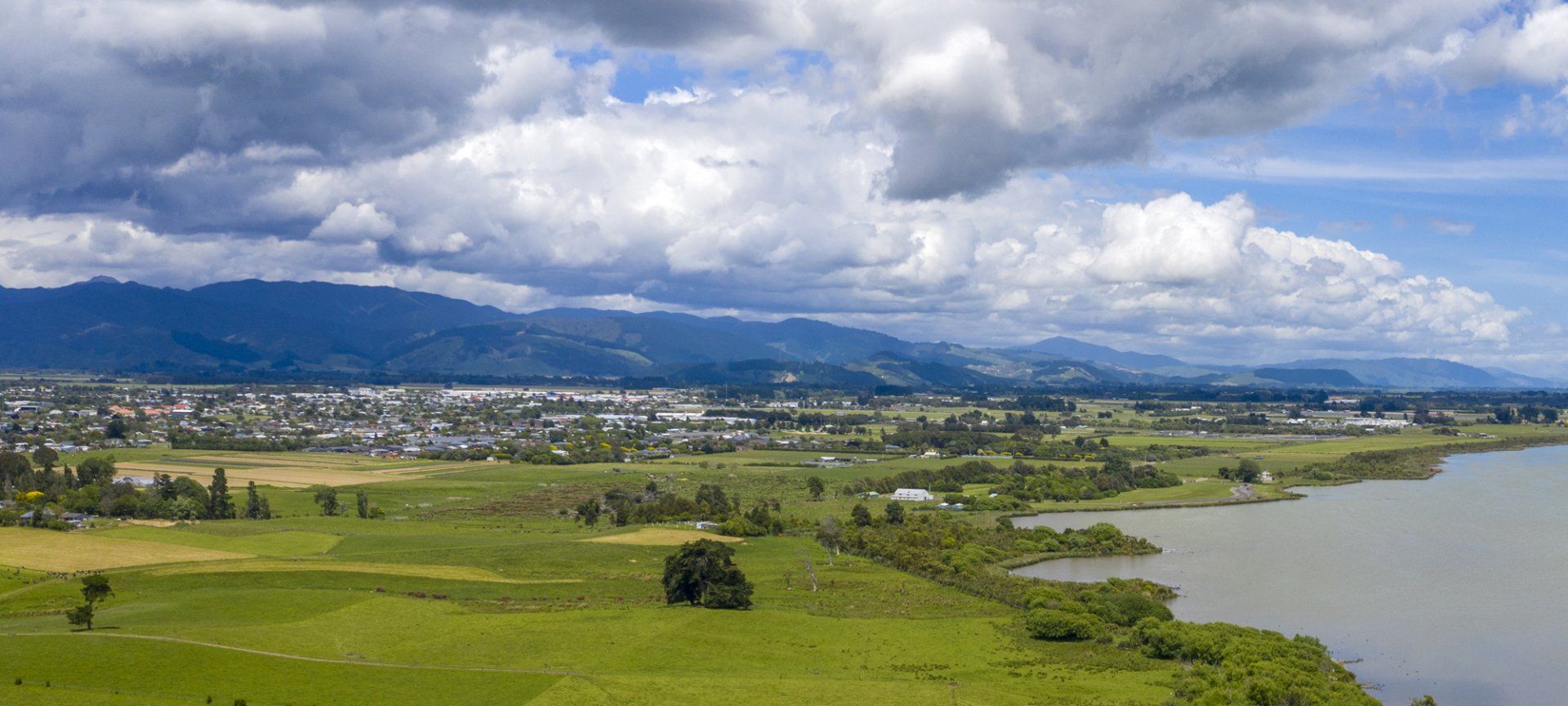 Mitchpine located in Horowhenua
