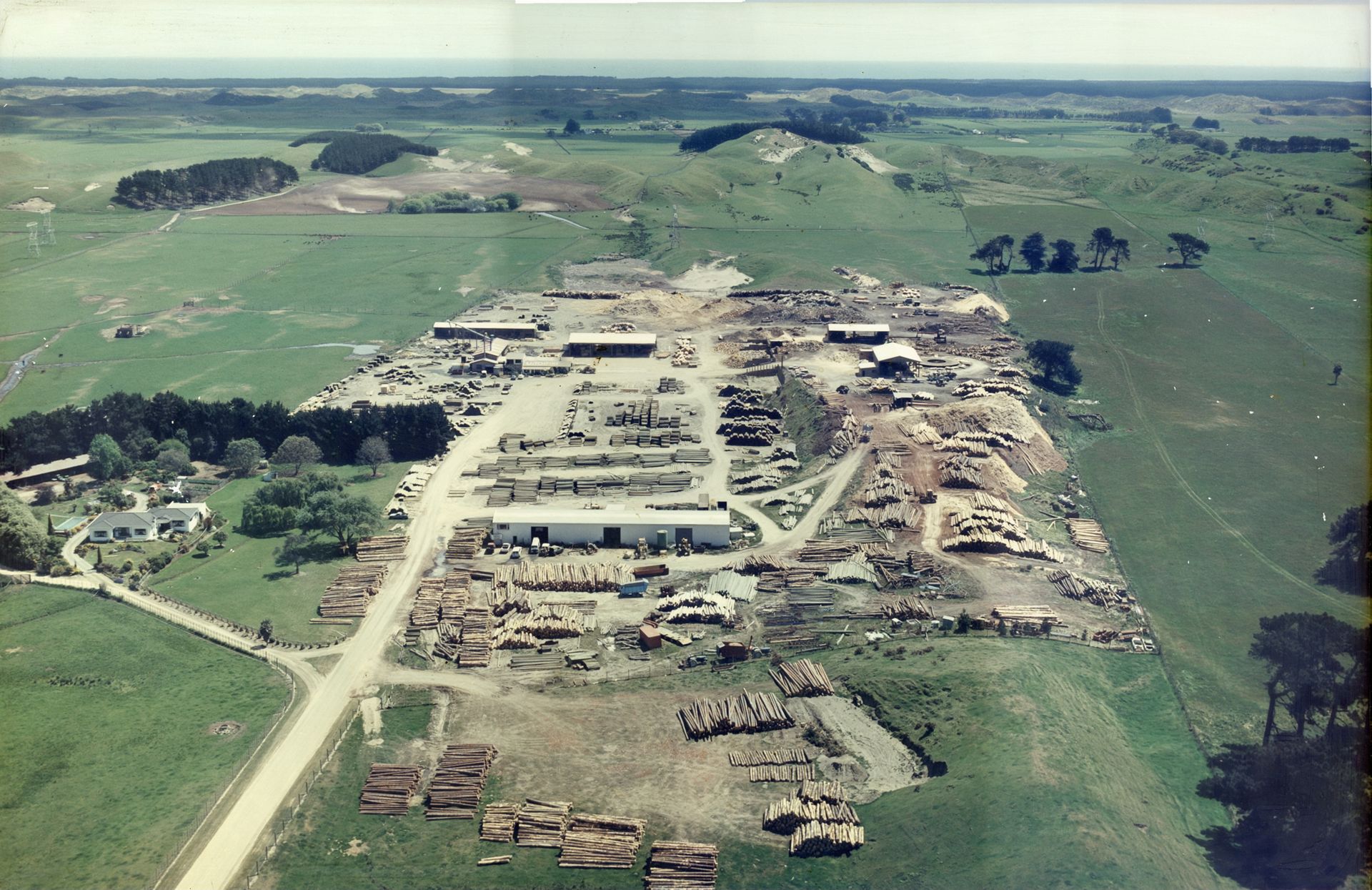 Mitchpine site 1998