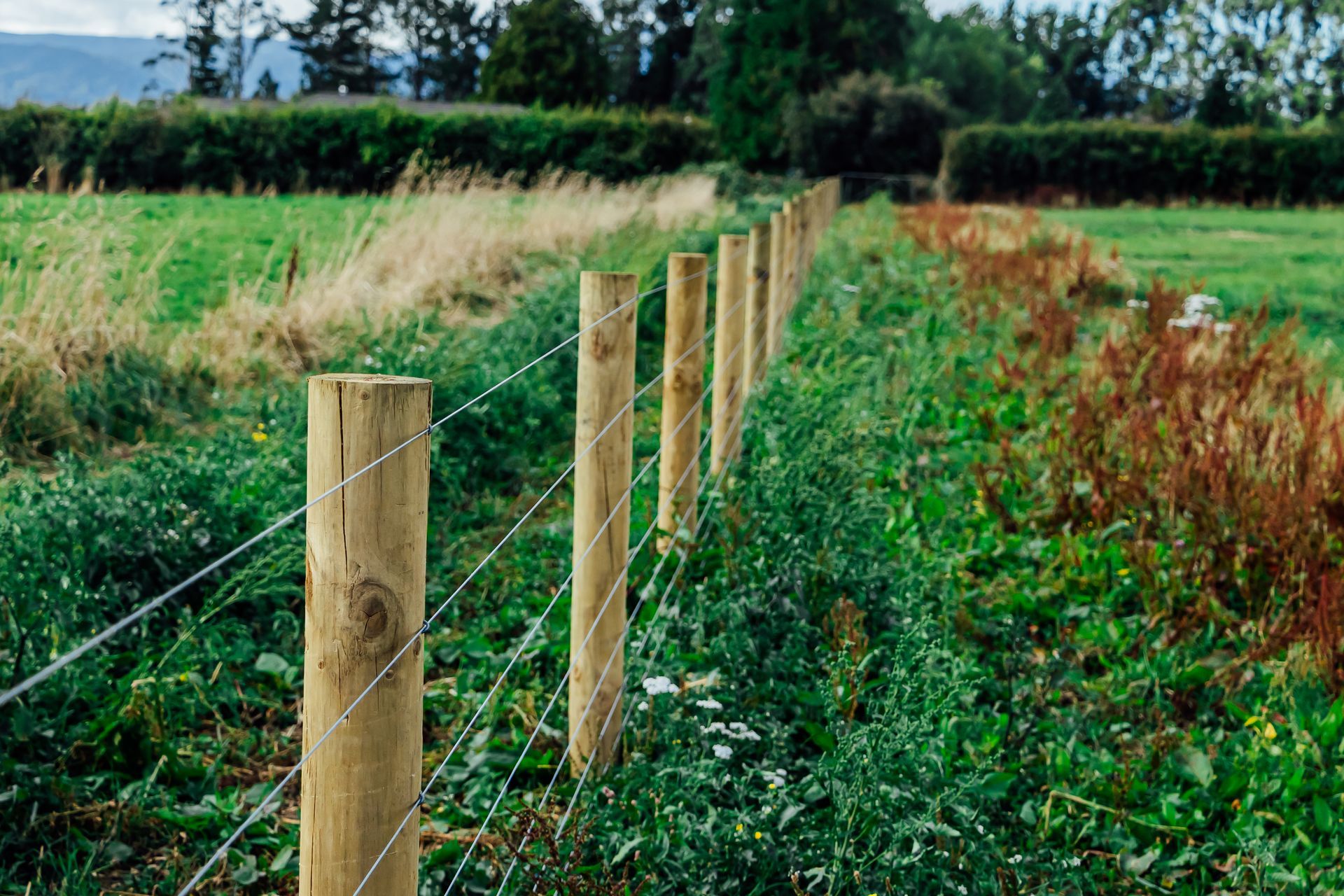 Mitchpine posts on a farm