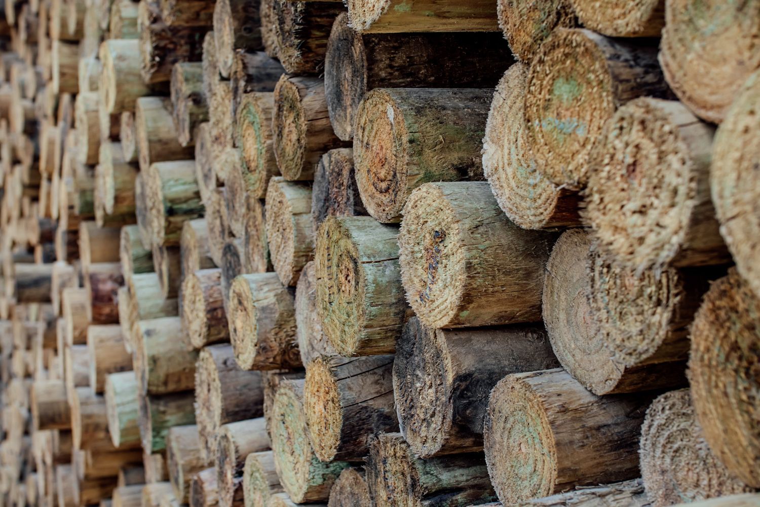 Quality posts available for all your fencing needs