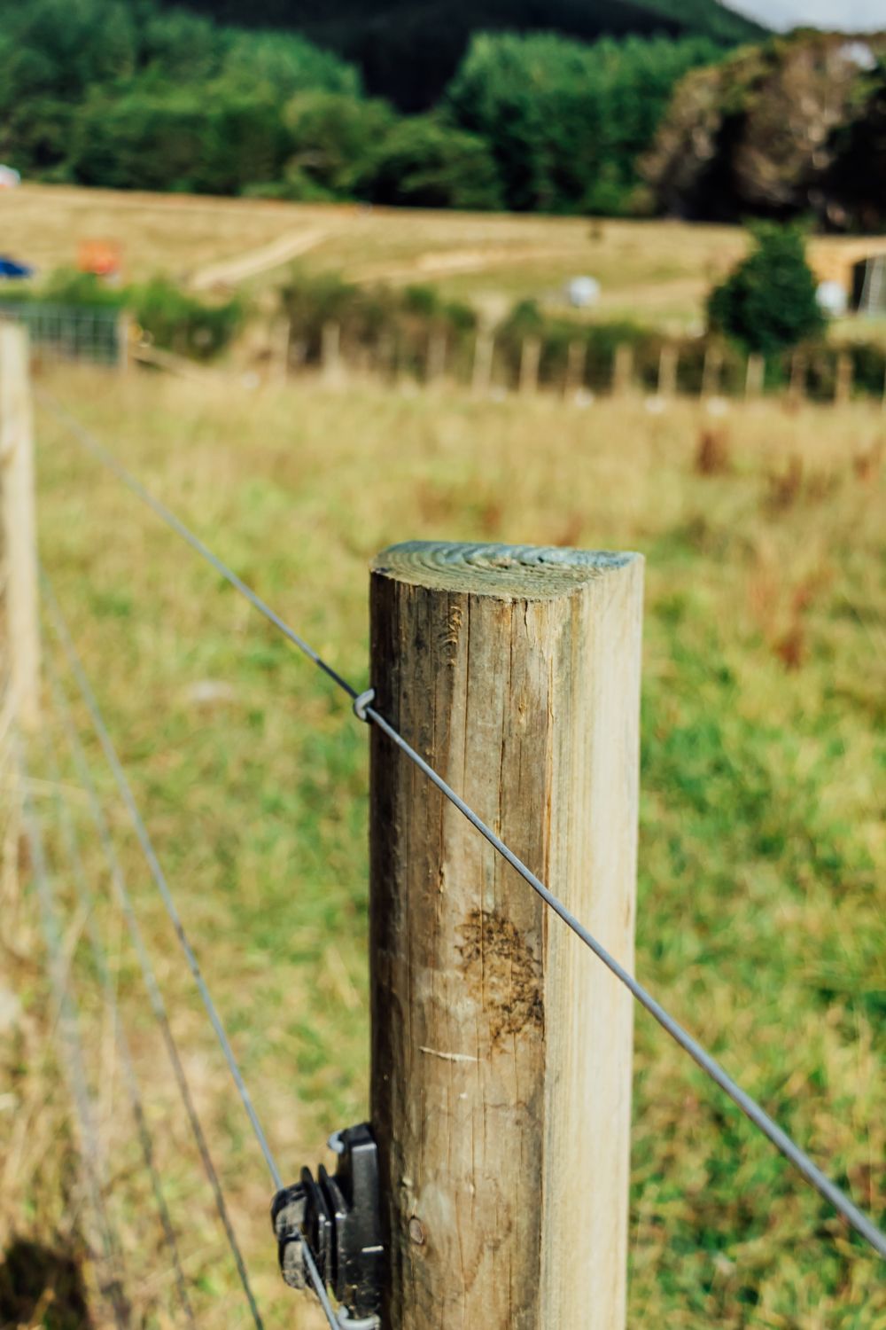 Mitchpine posts on a farm
