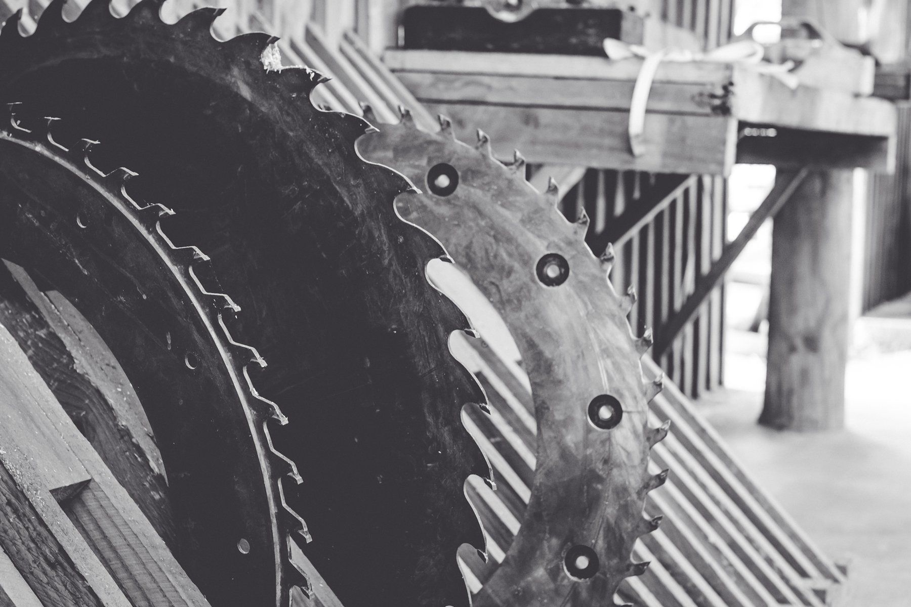 Mitchpine saw blades