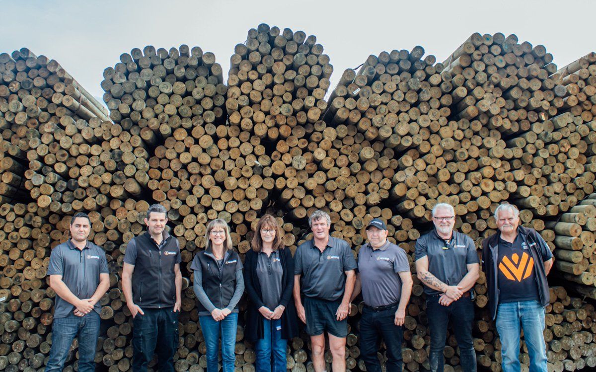 Mitchpine Team professionals in timber