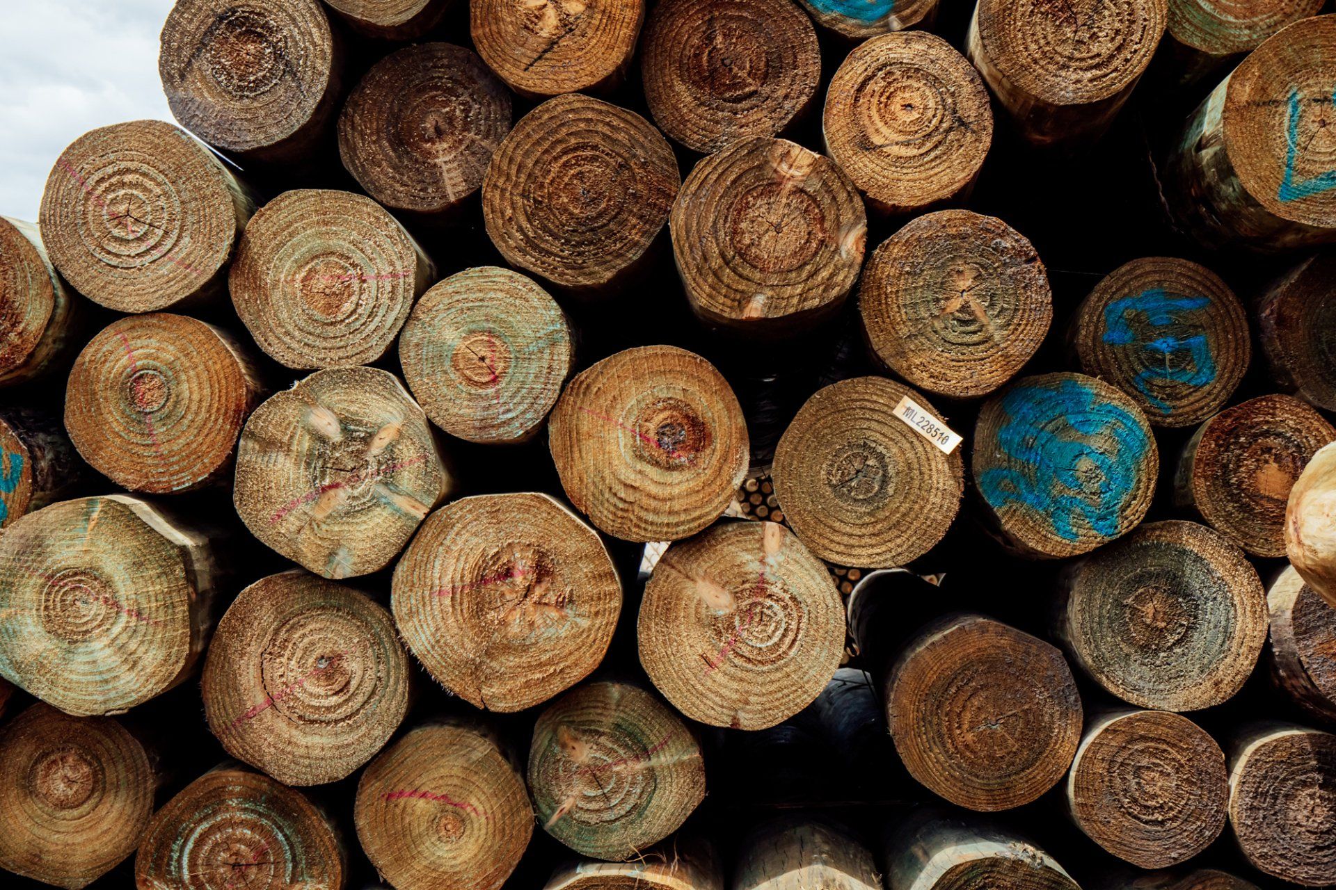 Stacked treated timber poles