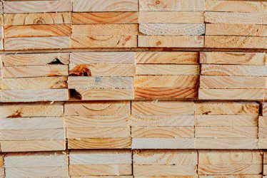 Mitchpine Timber Pine NZ