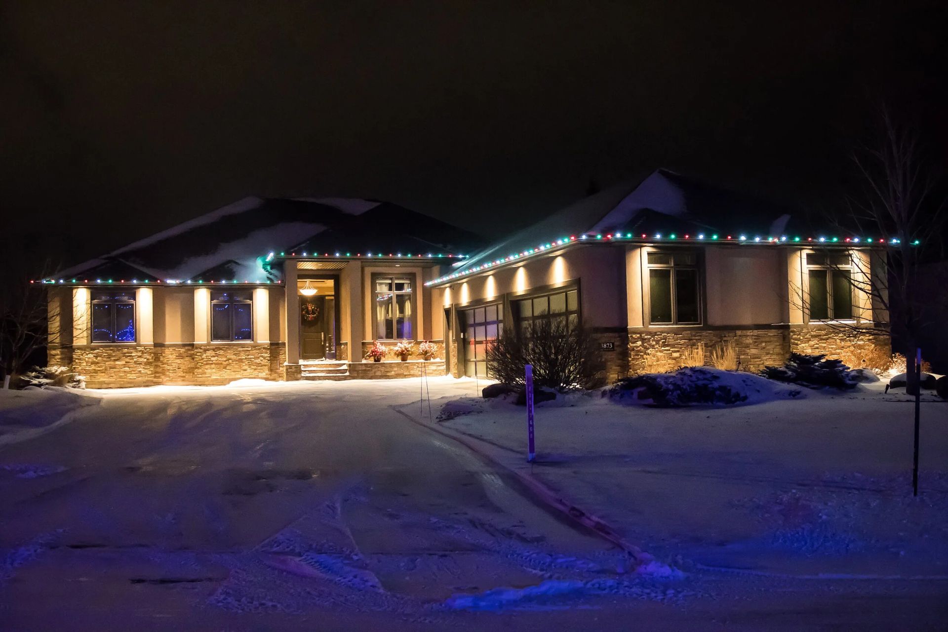 Holiday Lights