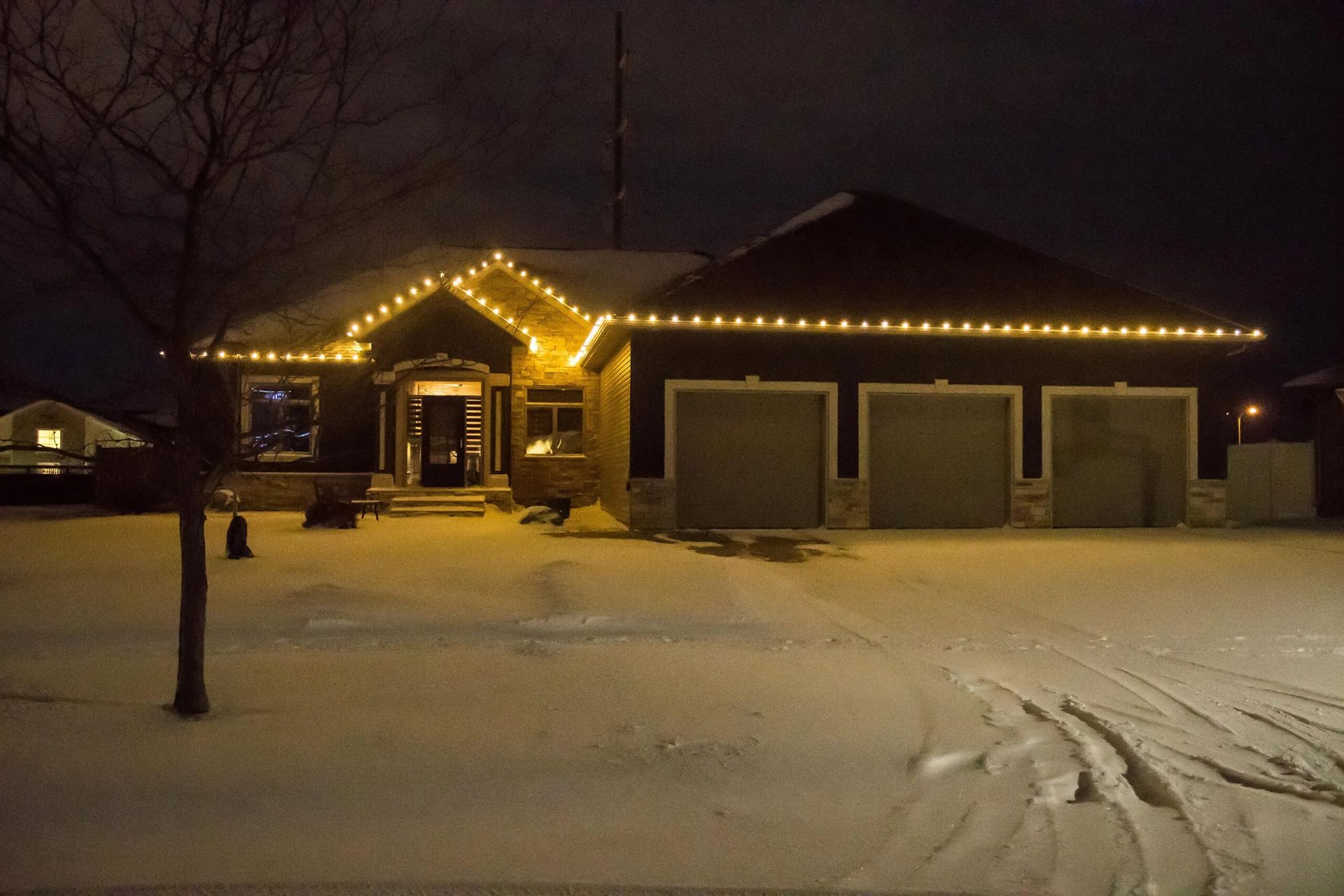 Holiday Lights