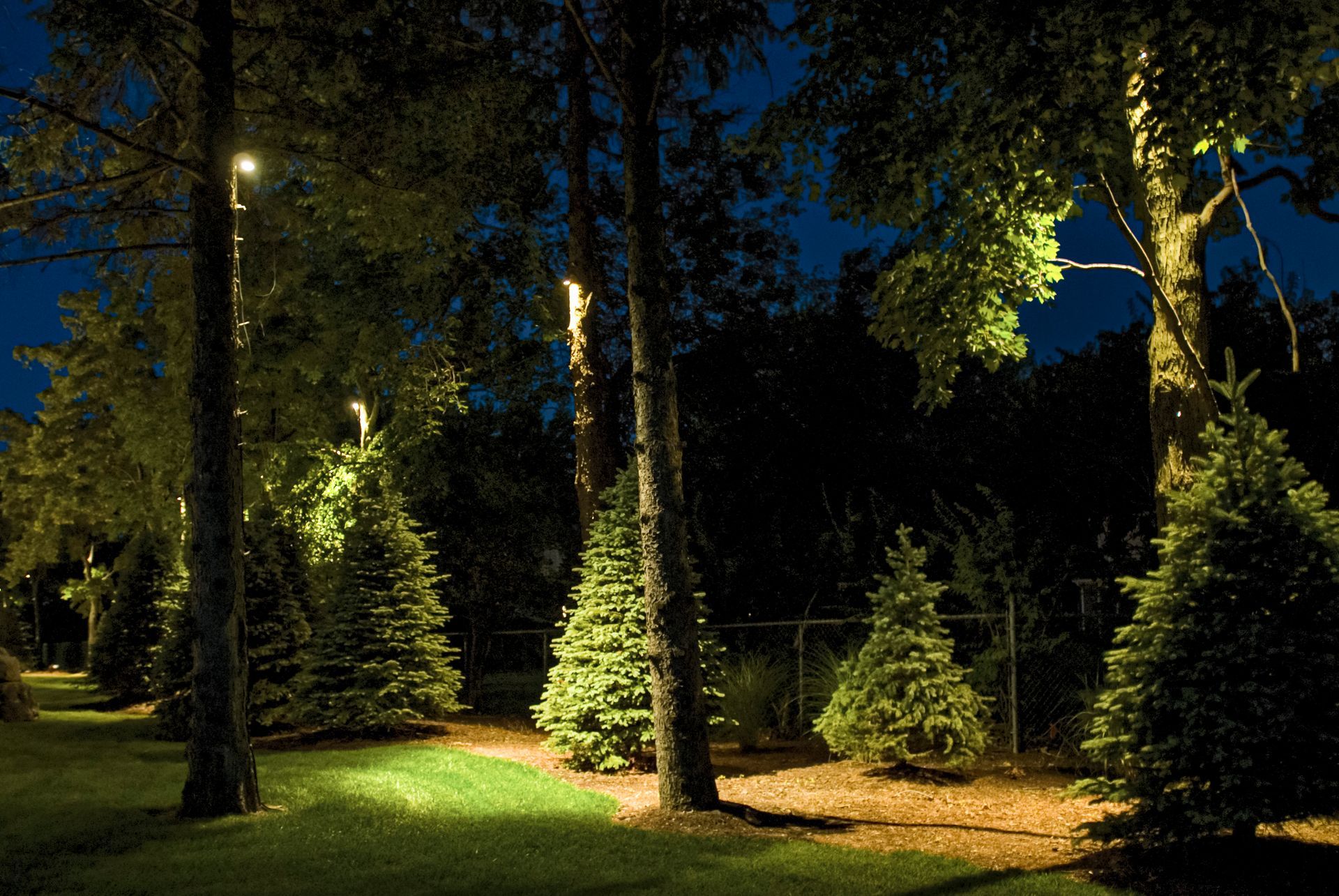 Landscape Lighting
