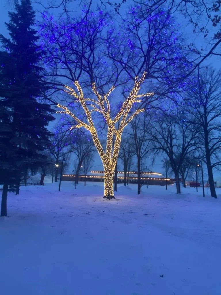 Holiday Lights
