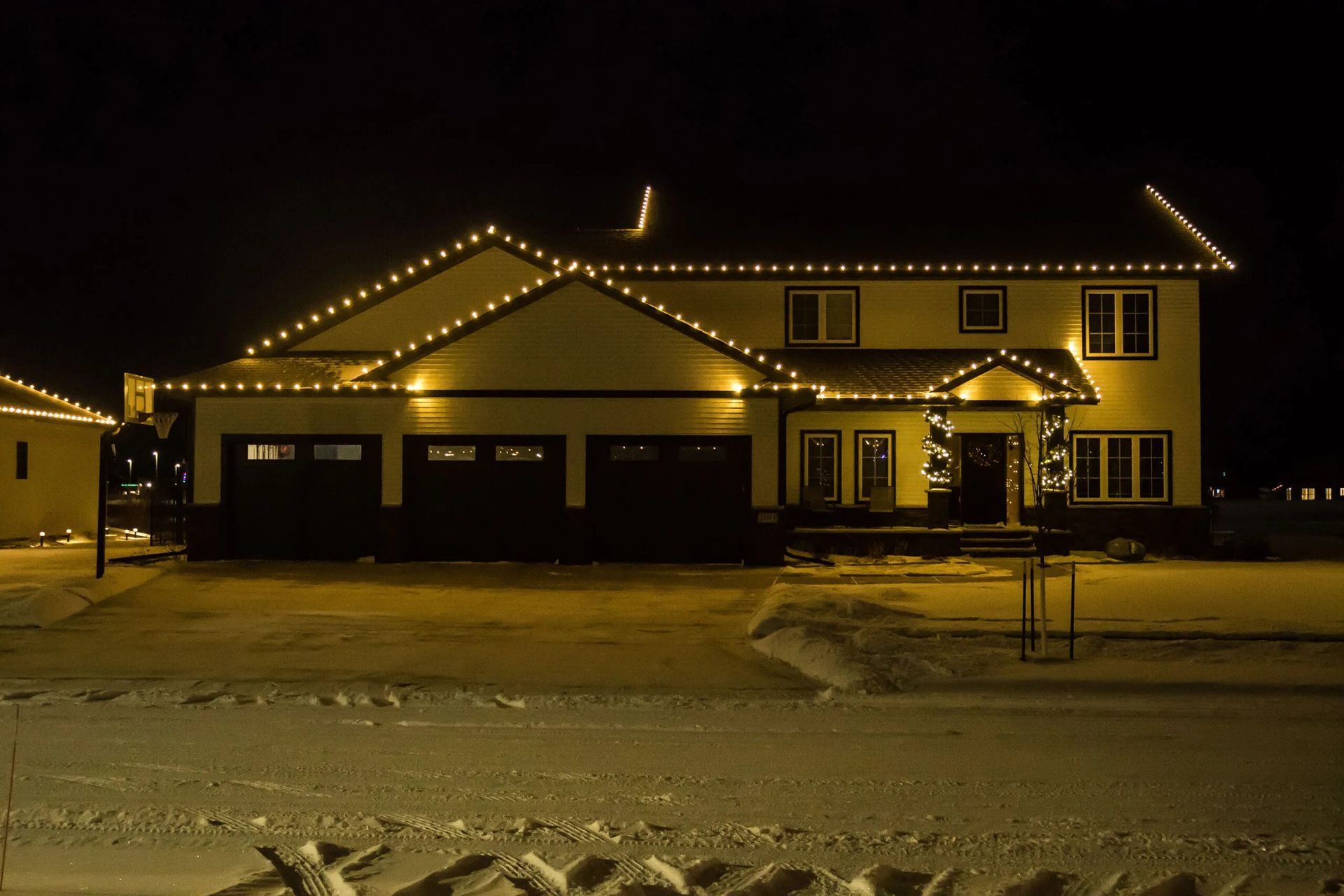 Holiday Lights