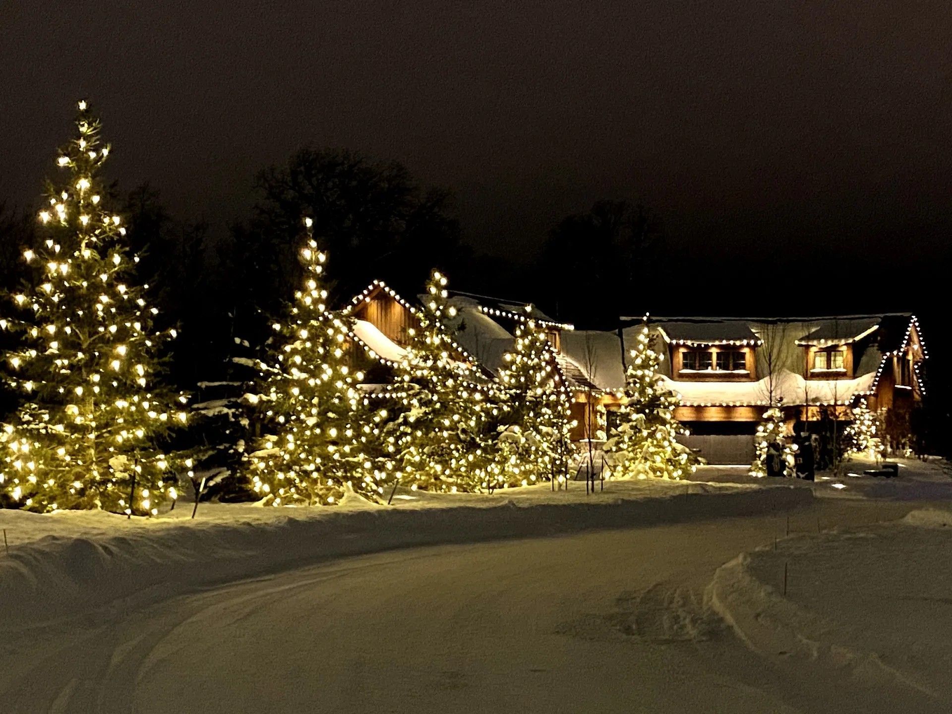 Holiday Lighting