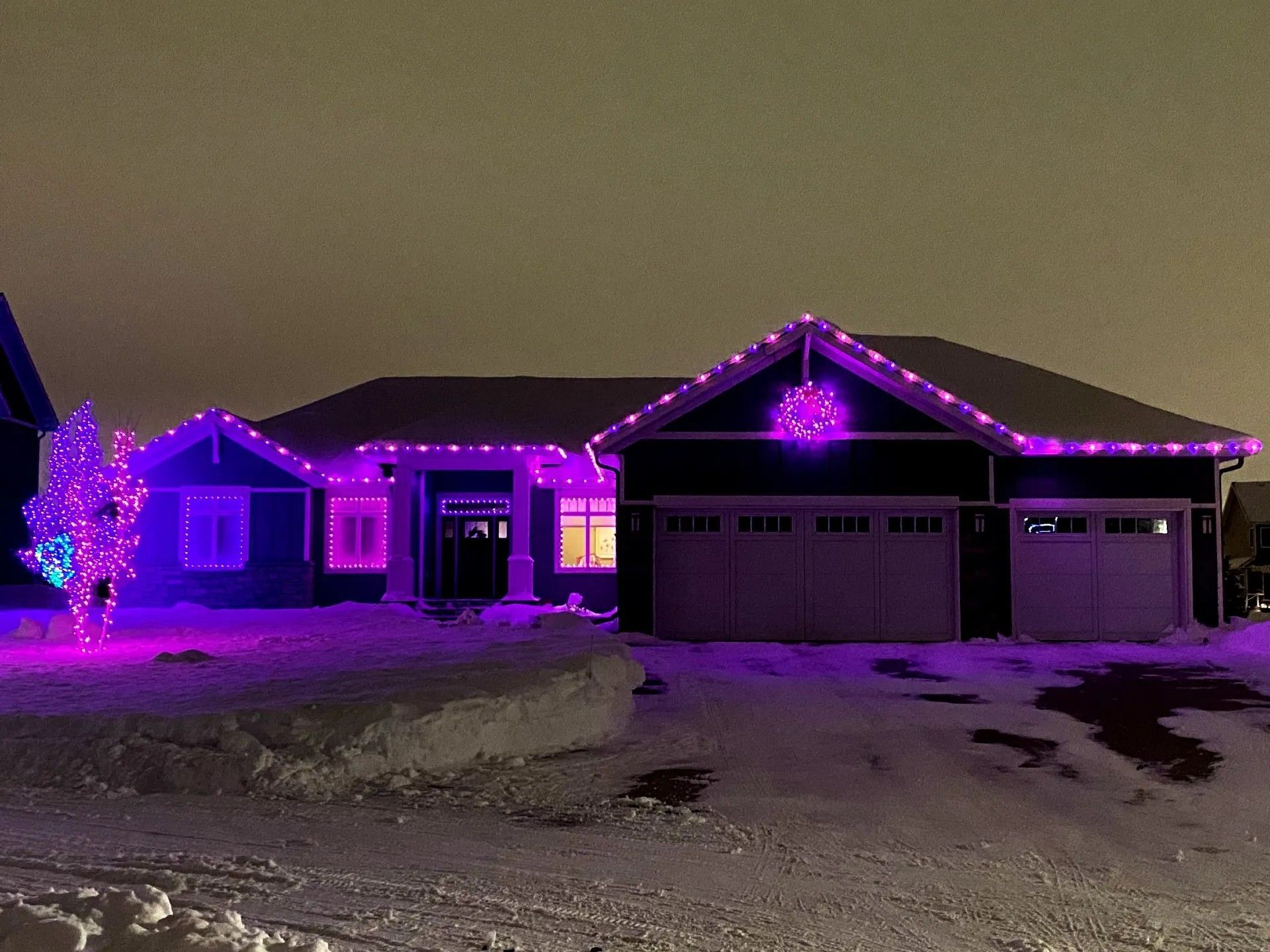 Holiday Lights