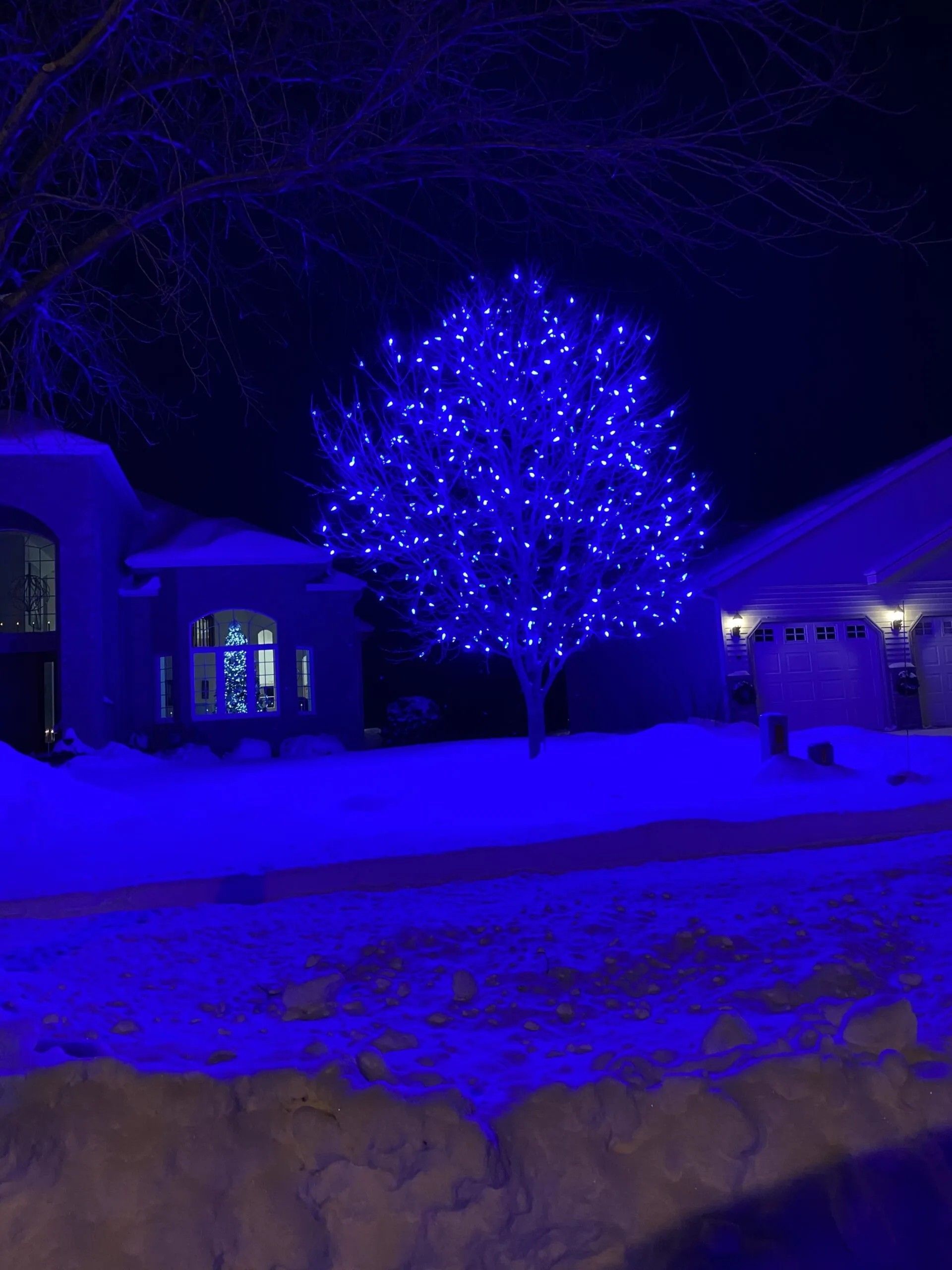 Holiday Lights