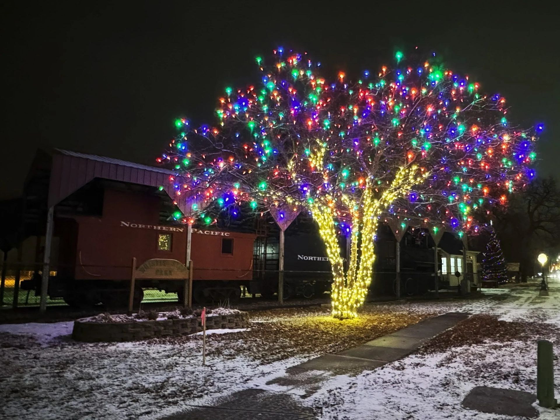 Holiday Lights
